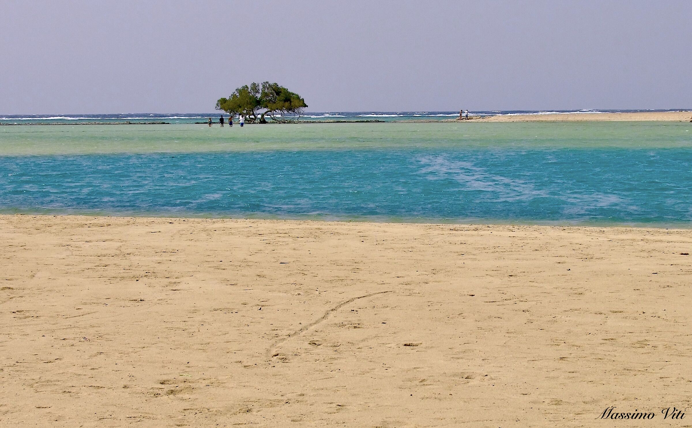 The tree in the middle of the sea