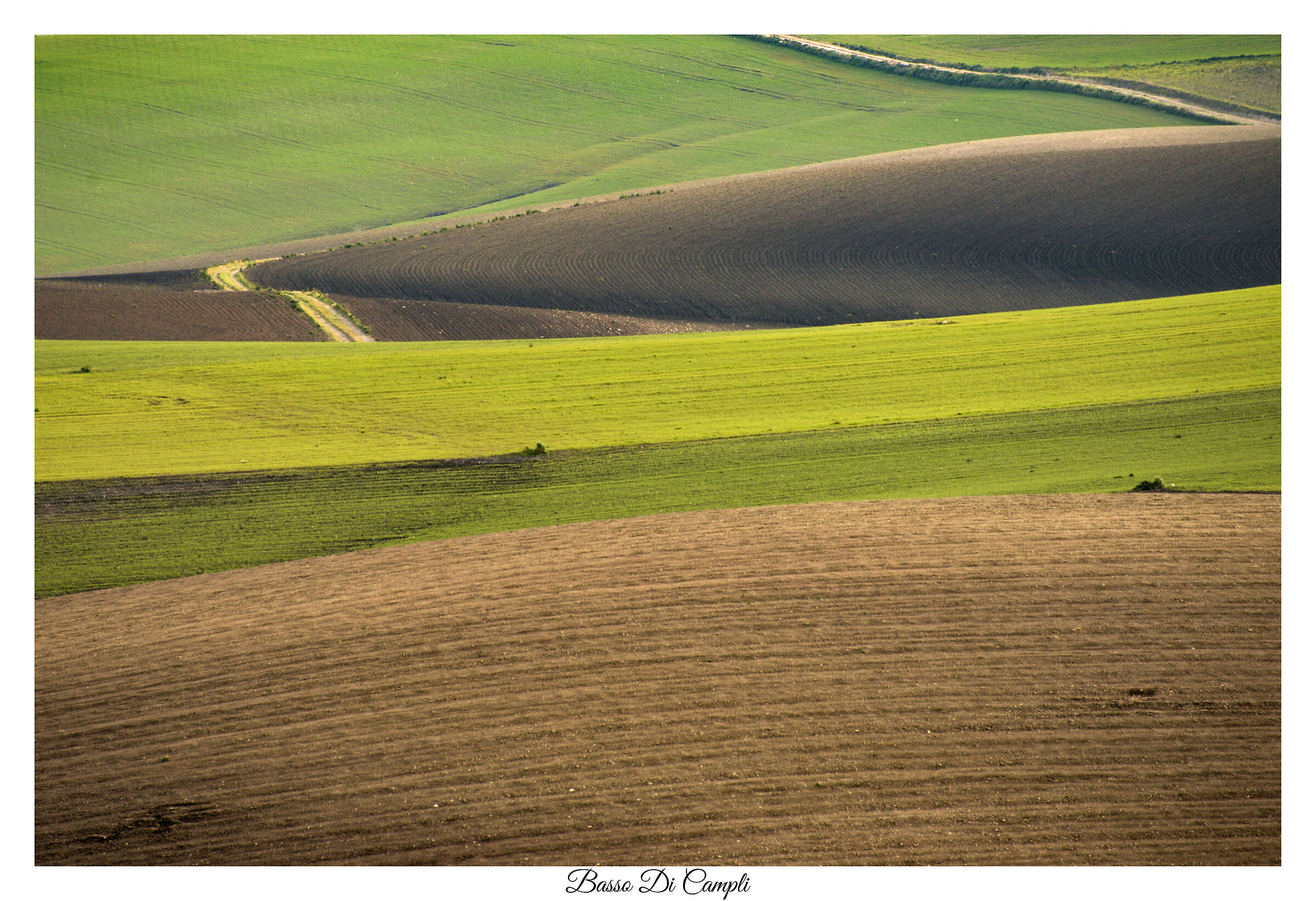 Colline