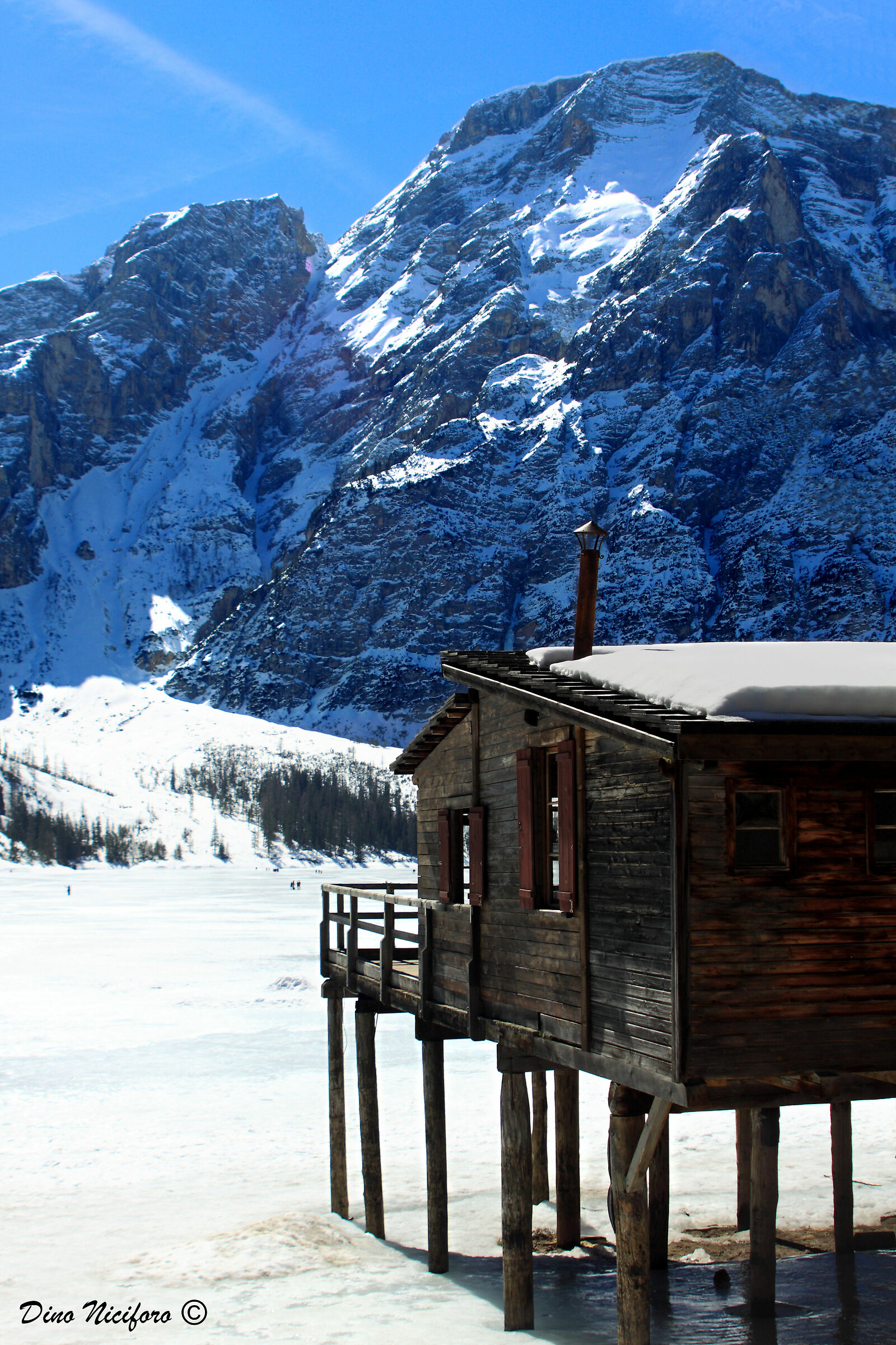 White Braies, New10005s