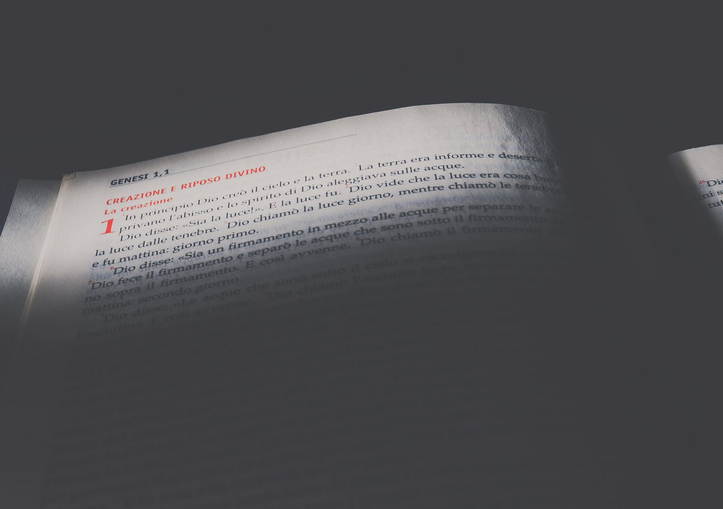 L'alba di un nuovo inizio