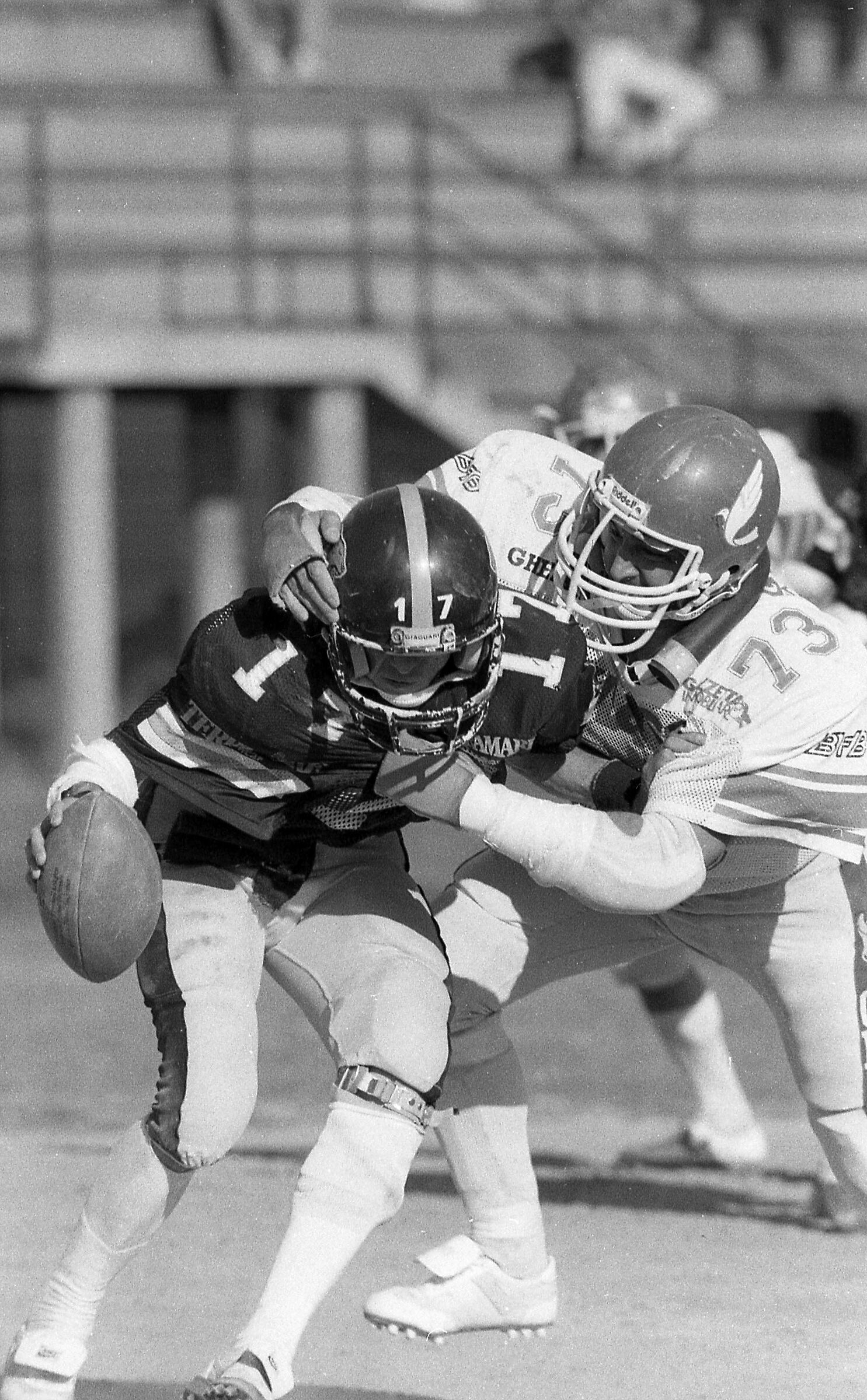 Bologna, Lunetta Gamberini 1985-87 Doves vs Panthers
