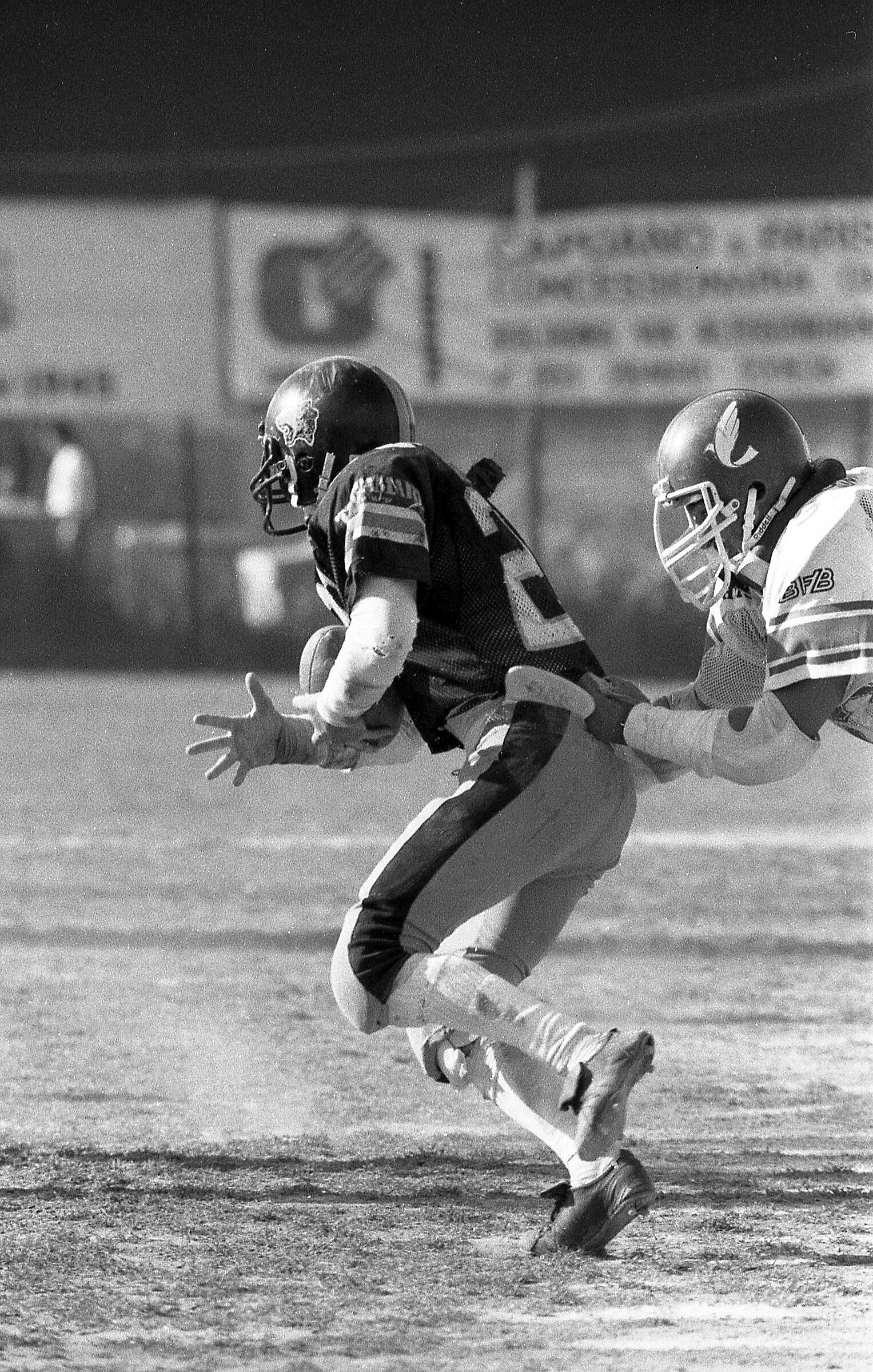Bologna, Lunetta Gamberini 1985-87 Doves vs Panthers