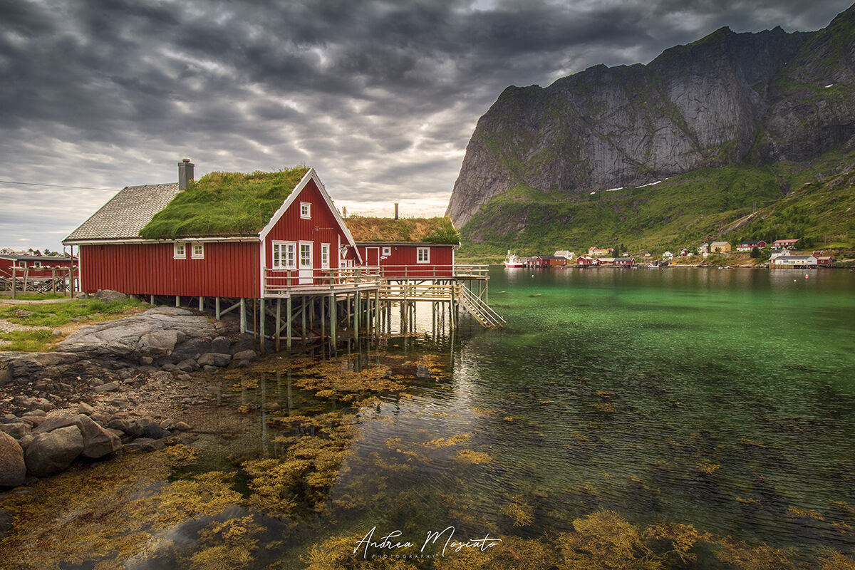 Moskenes - Lofoten Islands (Norway)