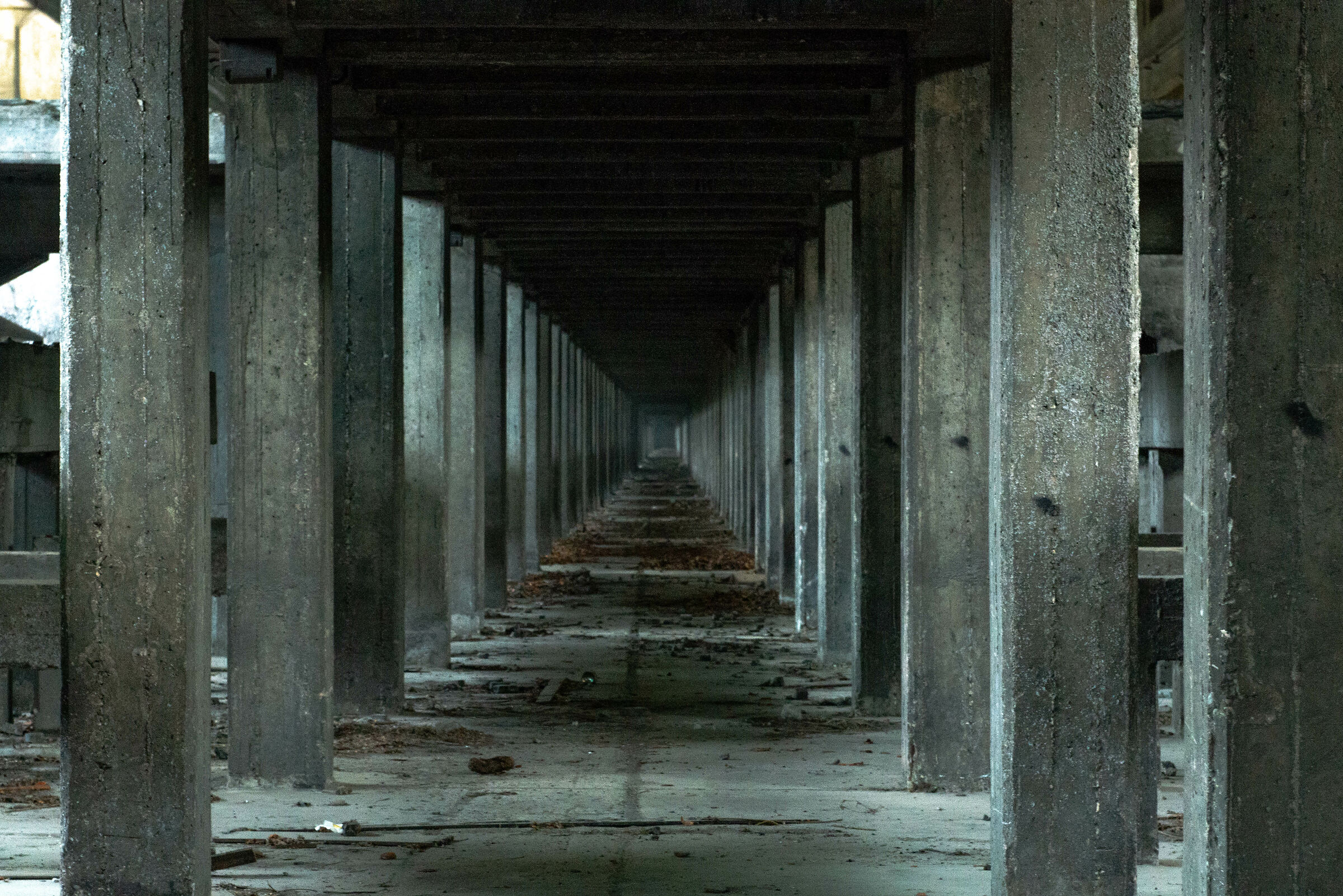 Capannone abbandonato