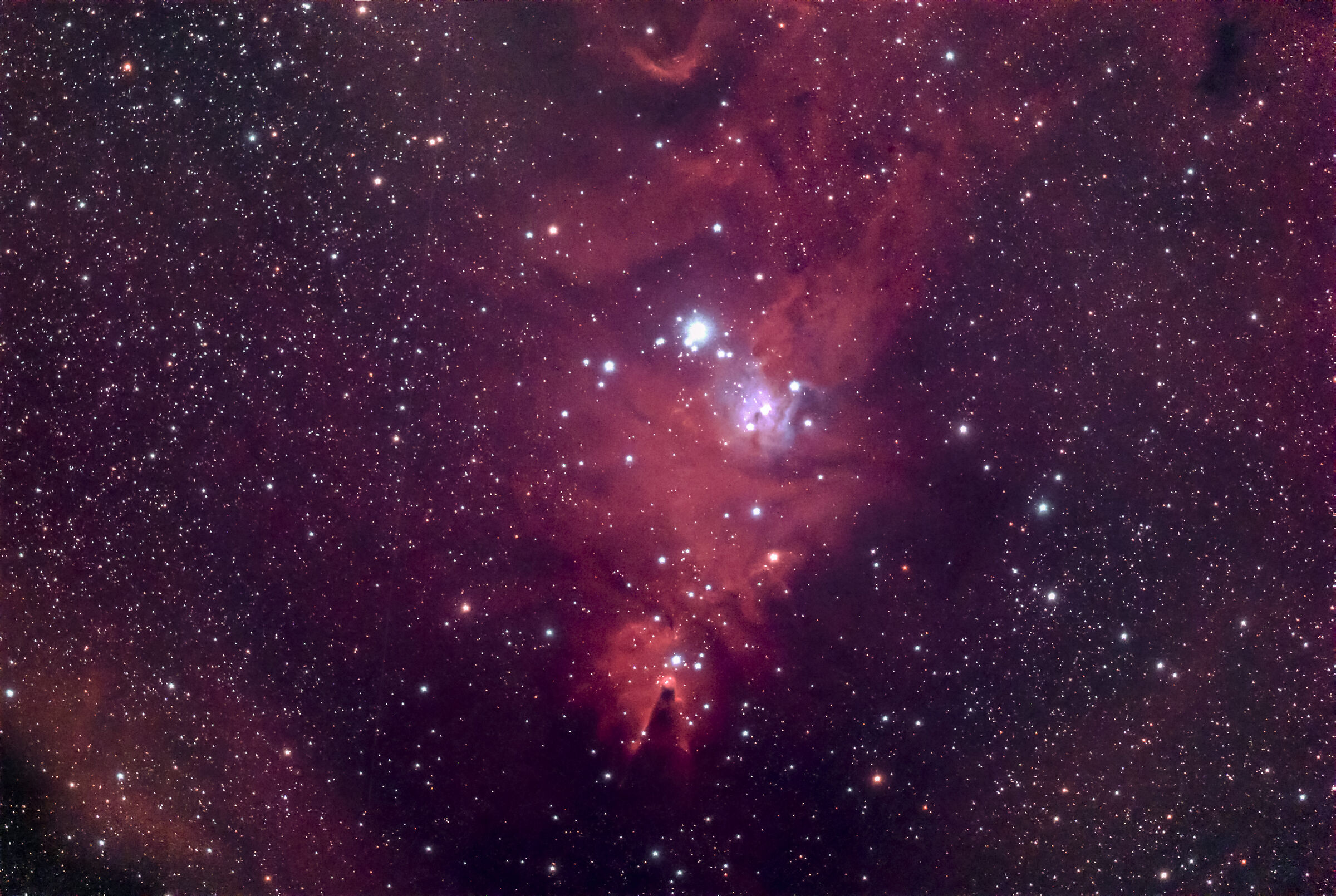 NGC 2264 Nebulosa Cono