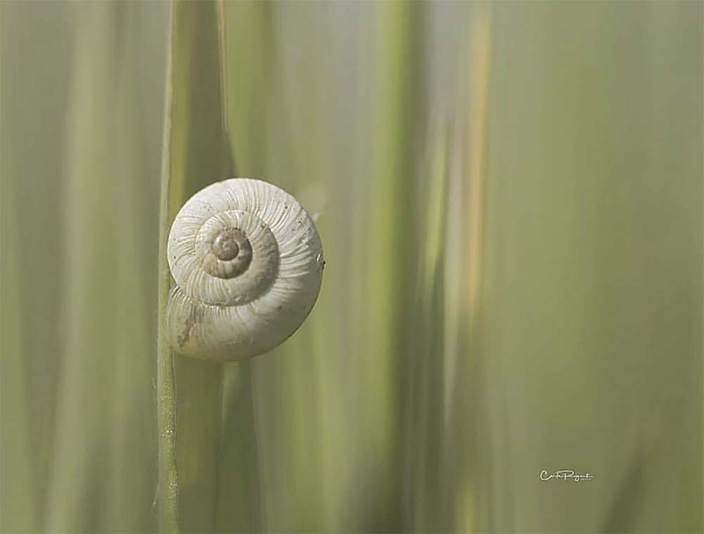 Aspettando la pioggia