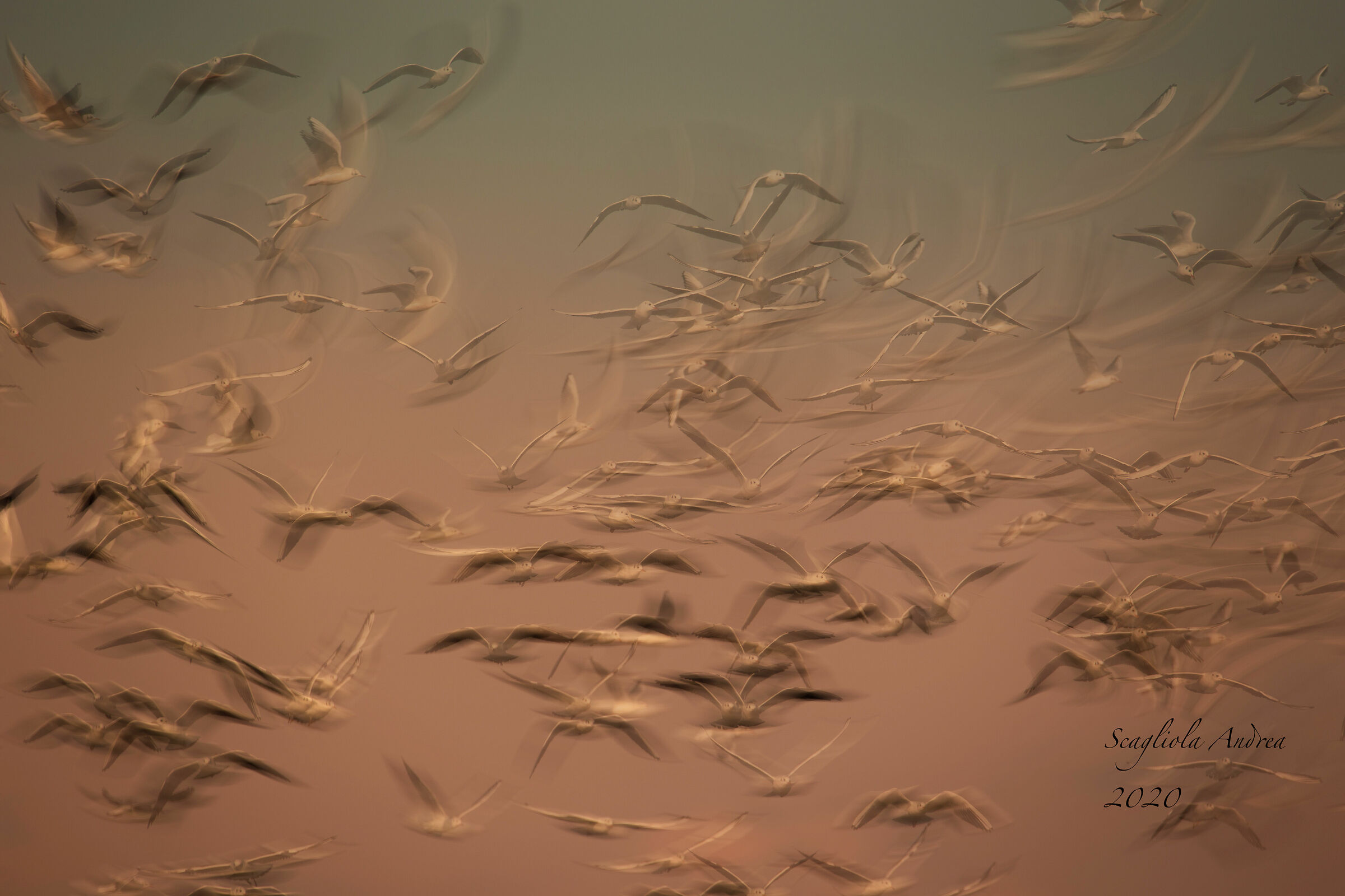 Happy May 1st and........