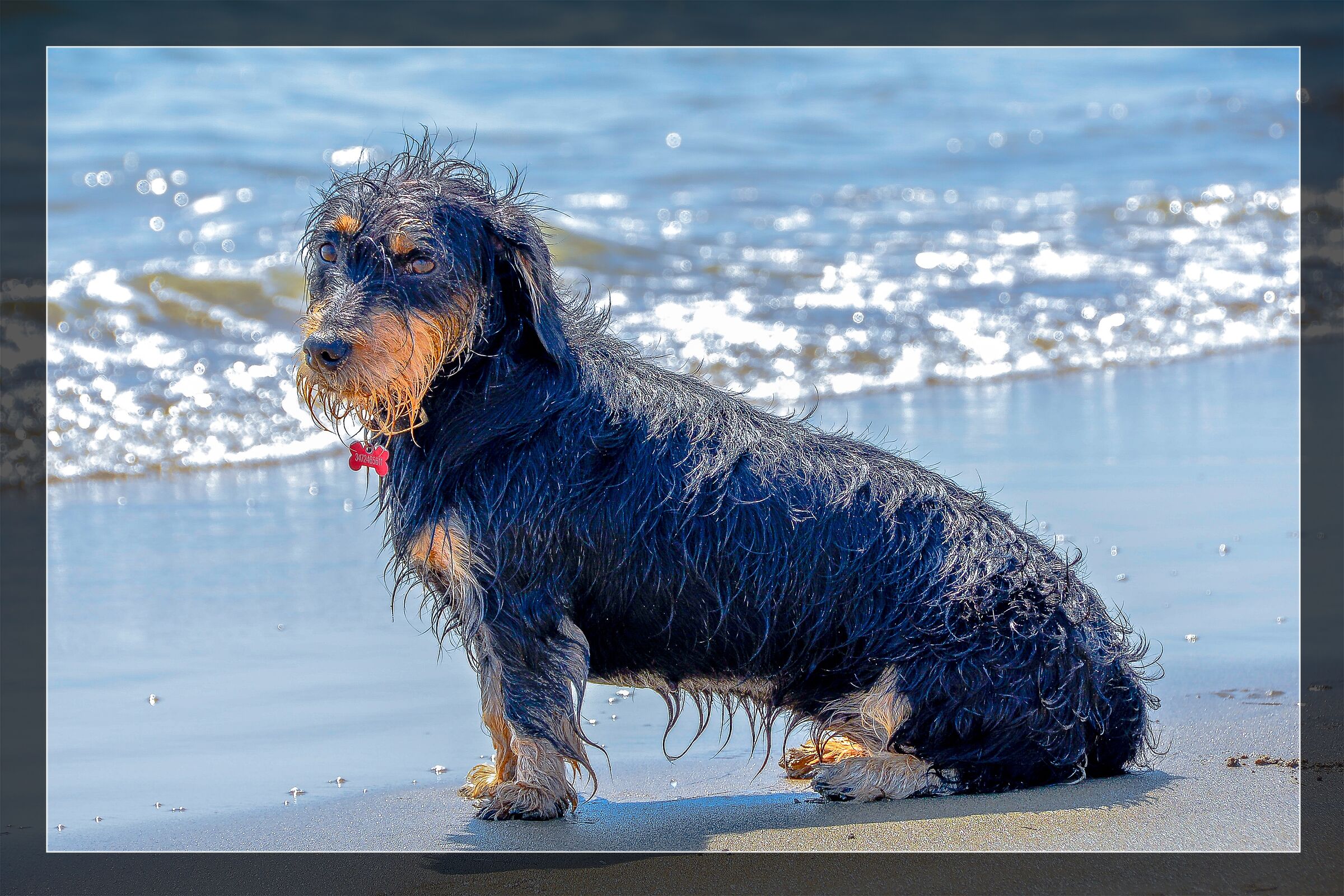 At the seaside
