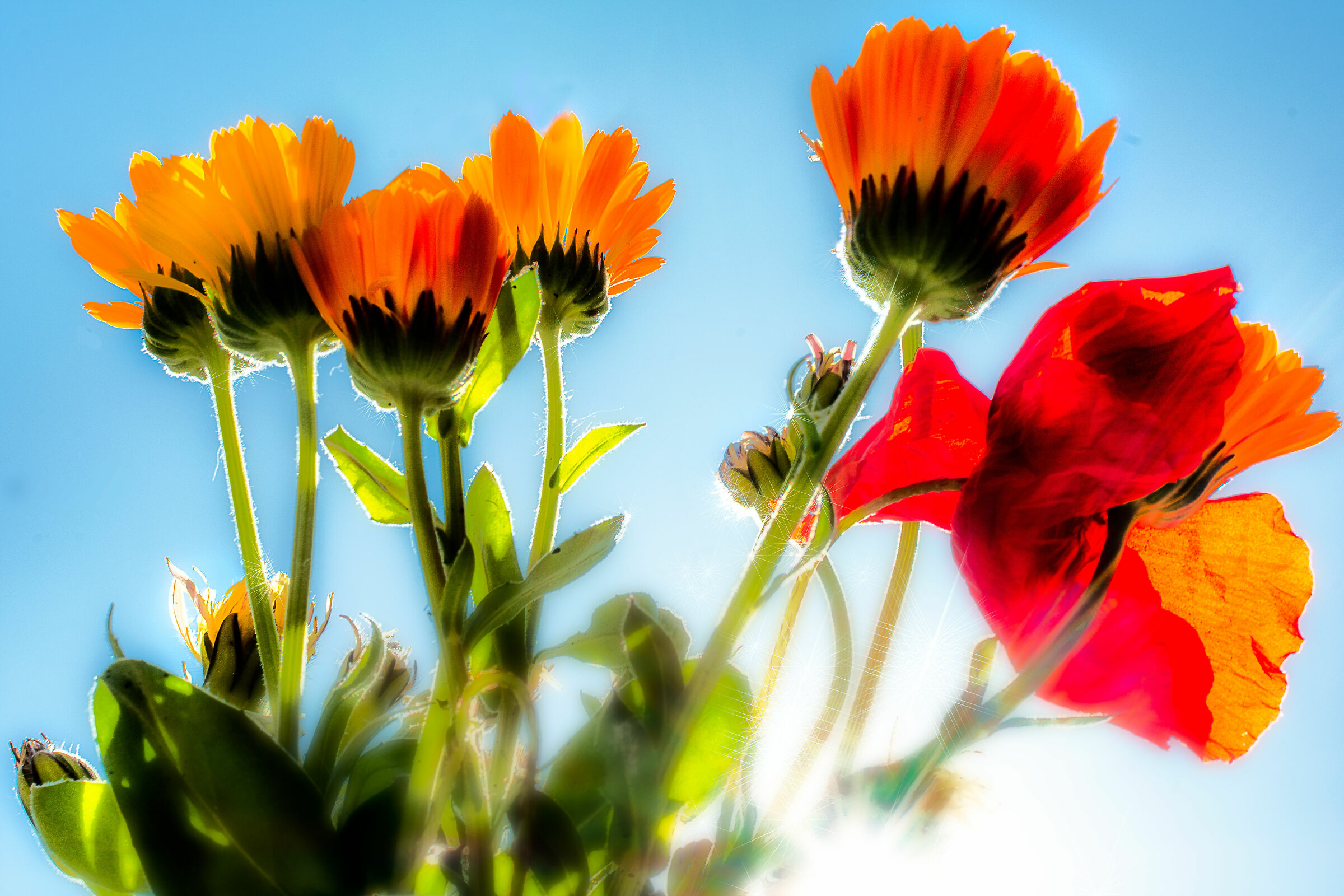 riflessi di quarantena 2