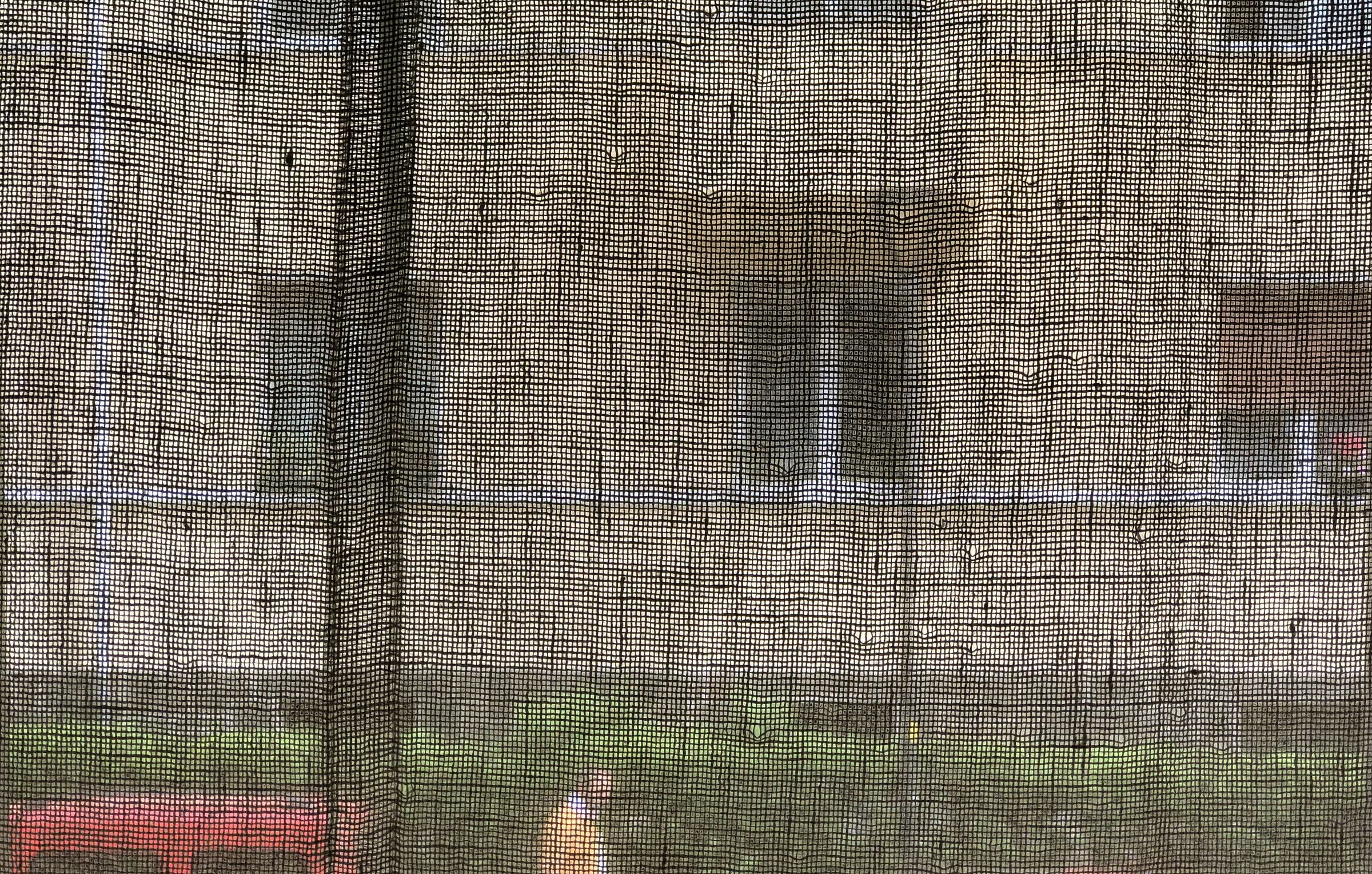 Transparency of freedom