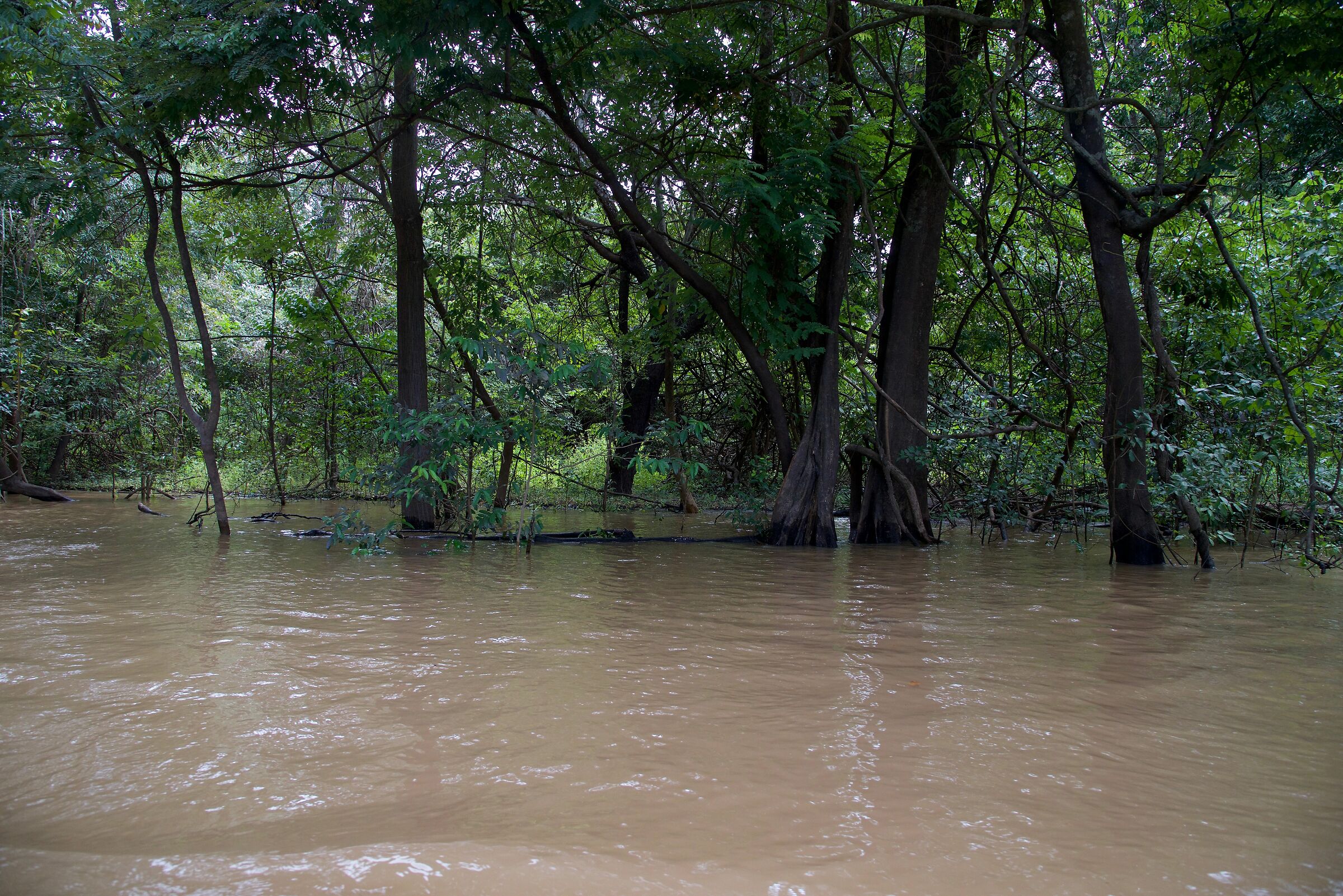 Verso il grande fiume