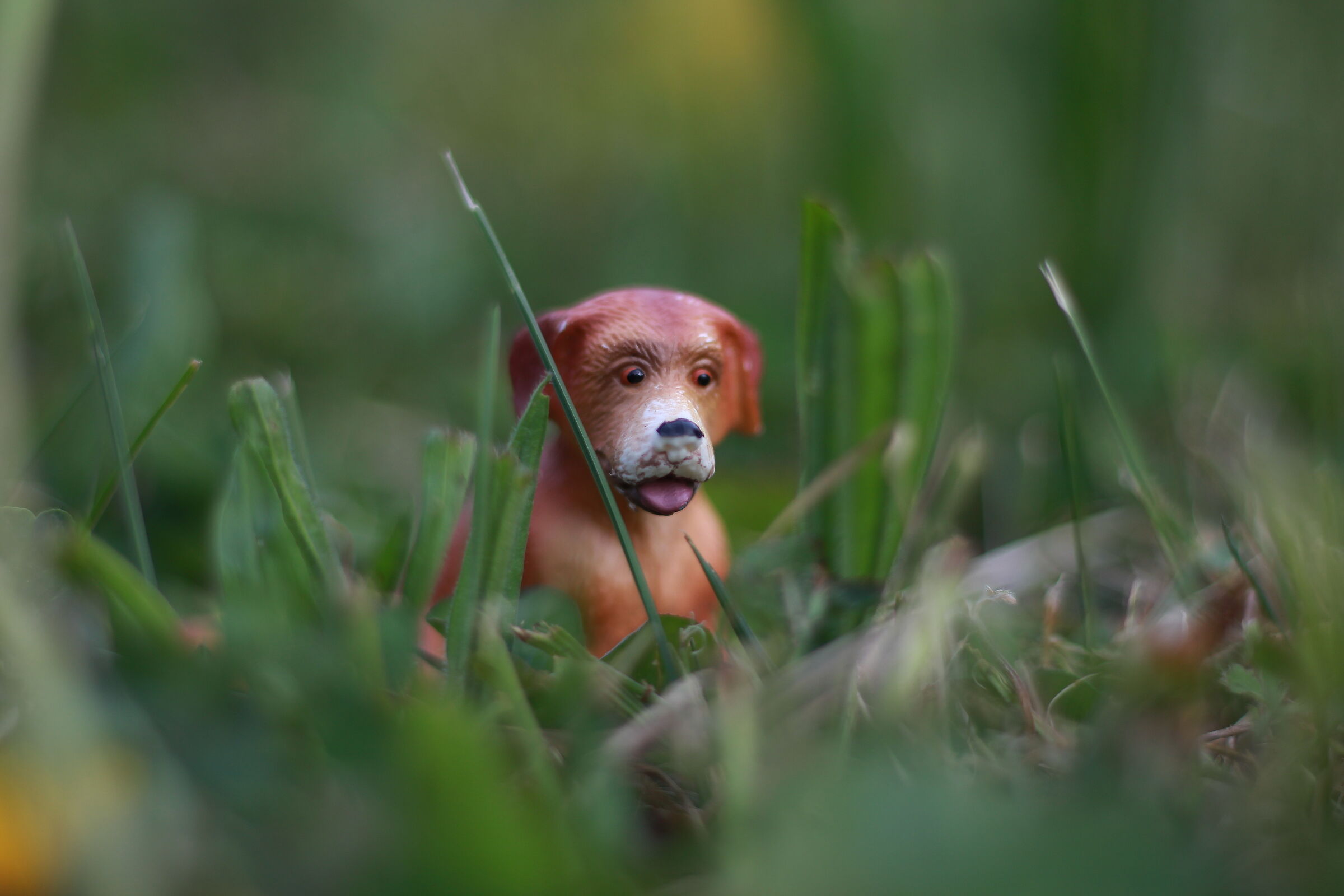 Attento, ti controllo