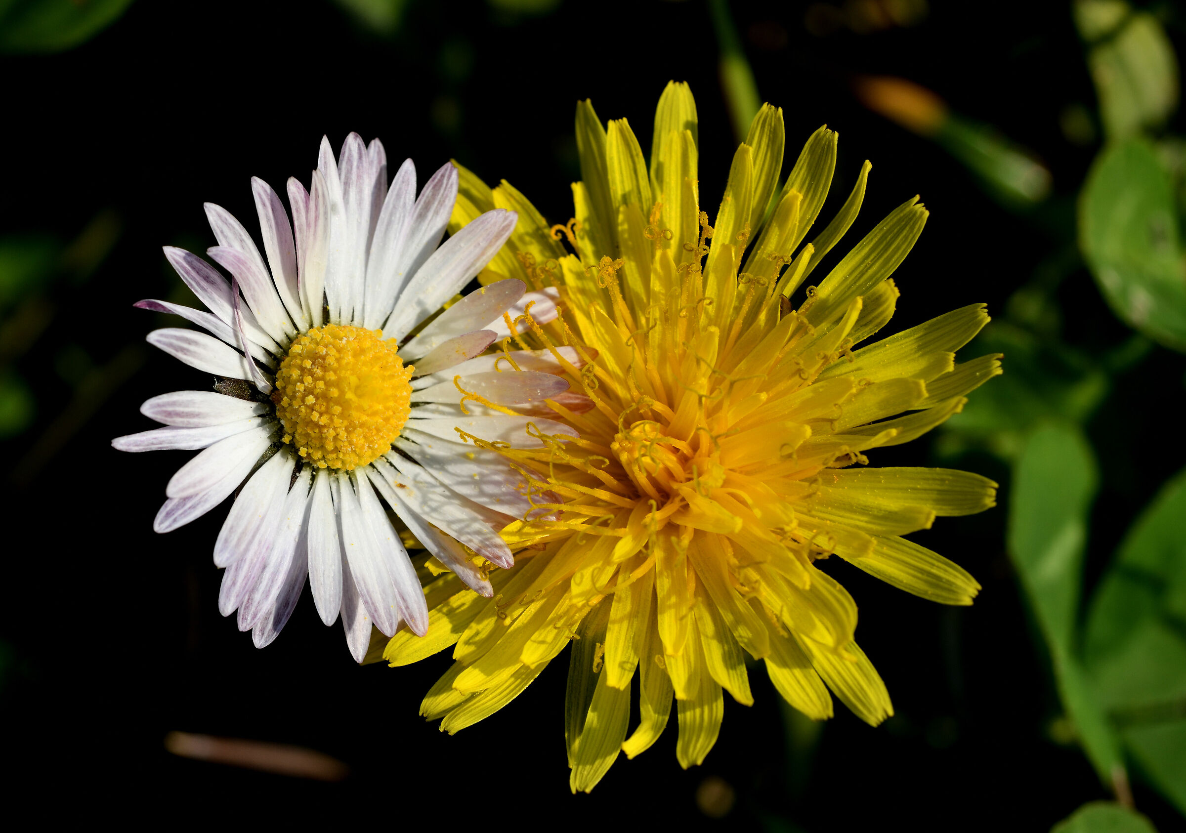 Accorciano le distanze!