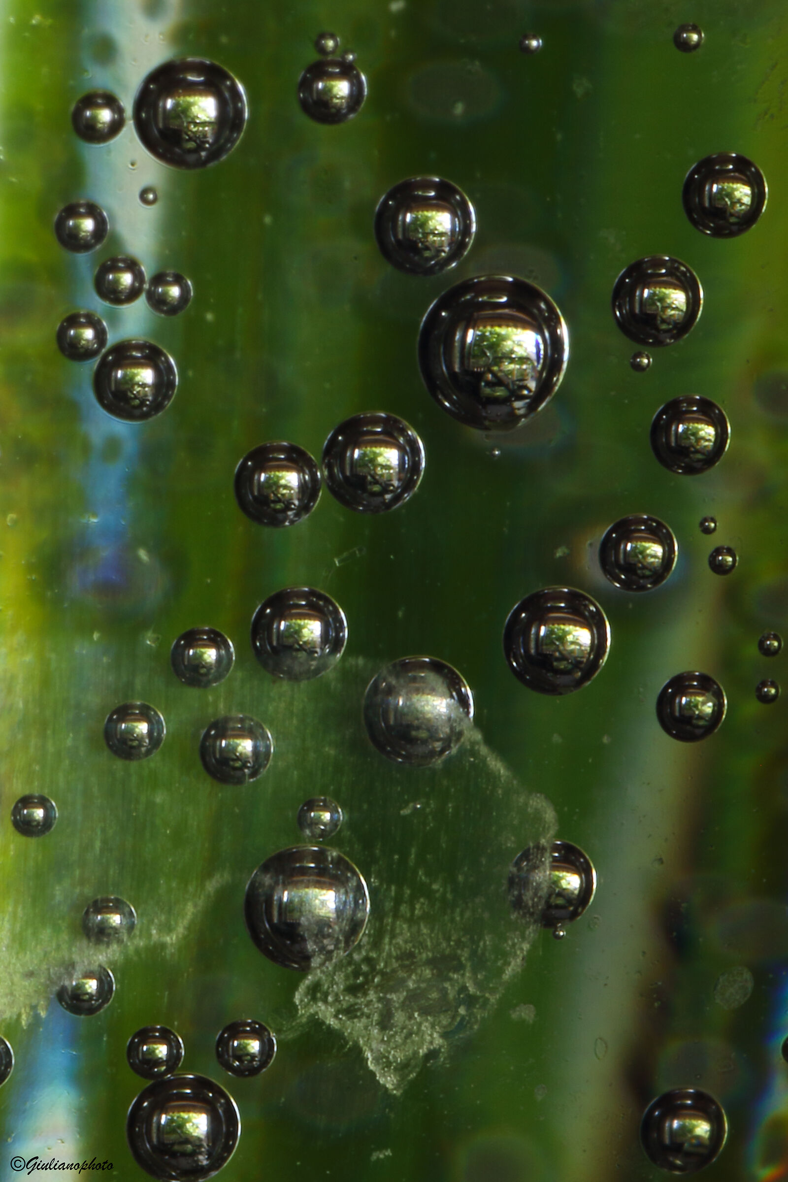 Bubbles (experiment No.81 Cytoplasma)