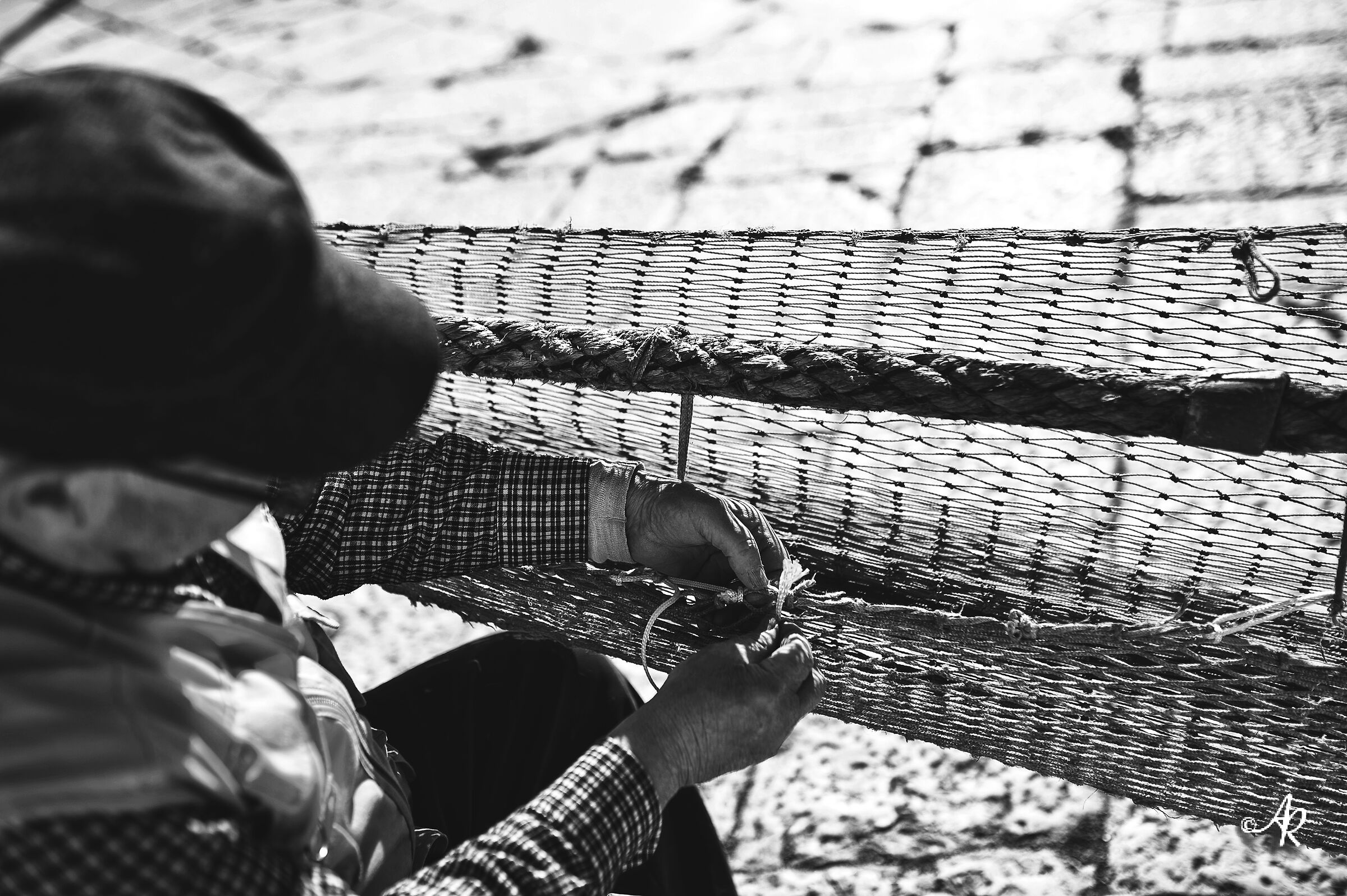 Il vecchio e il mare