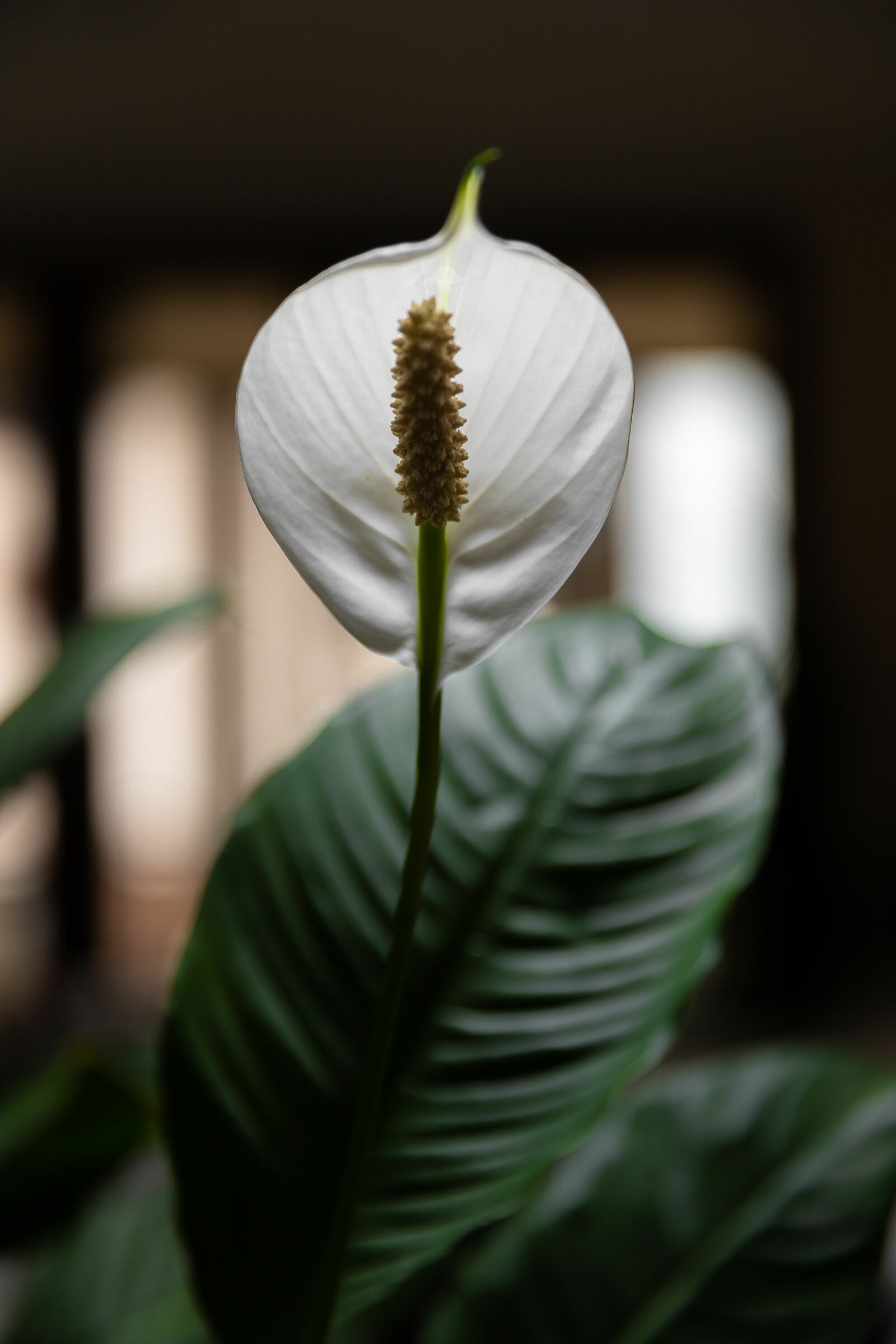 Untitled Photo
