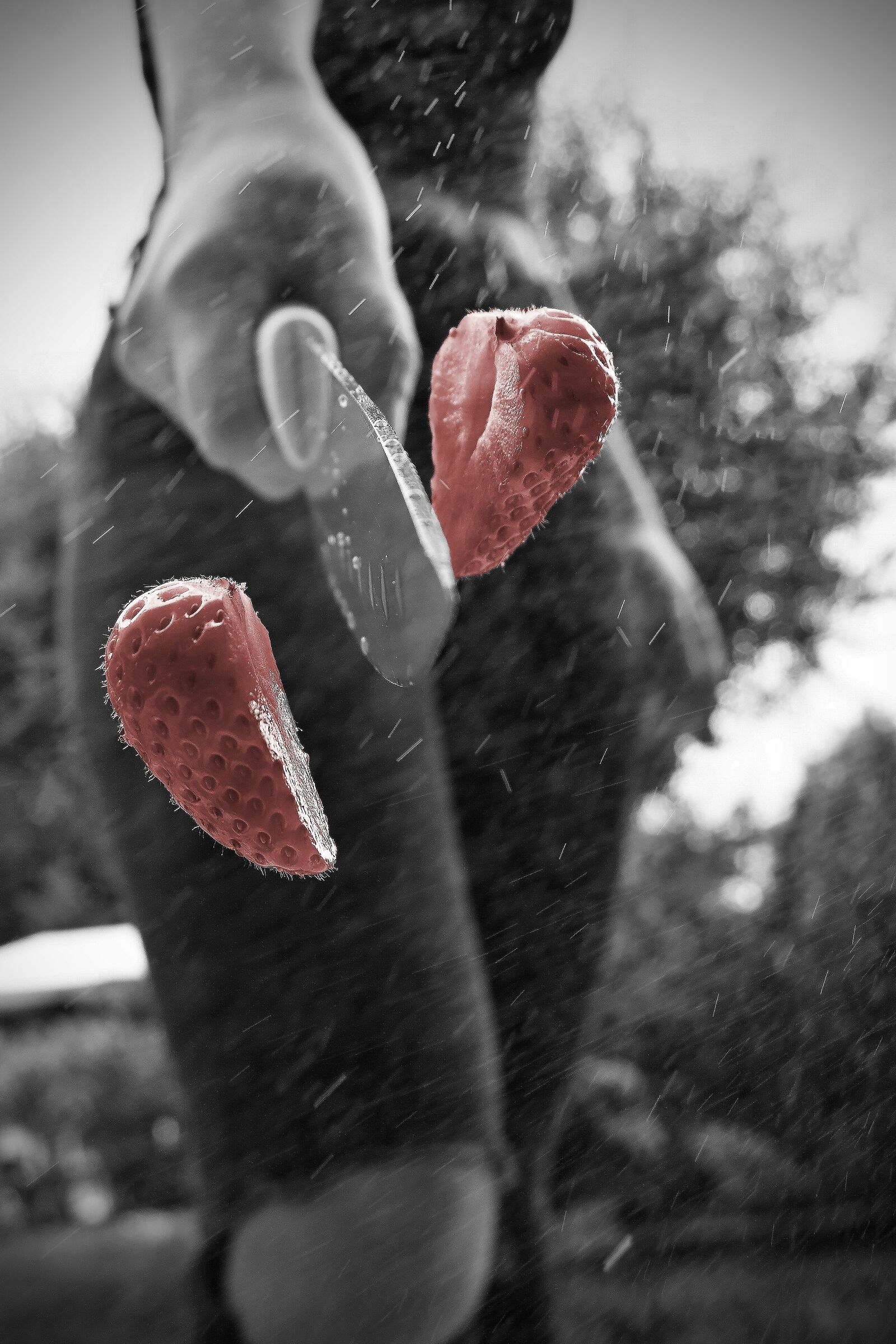 Red, Black and White