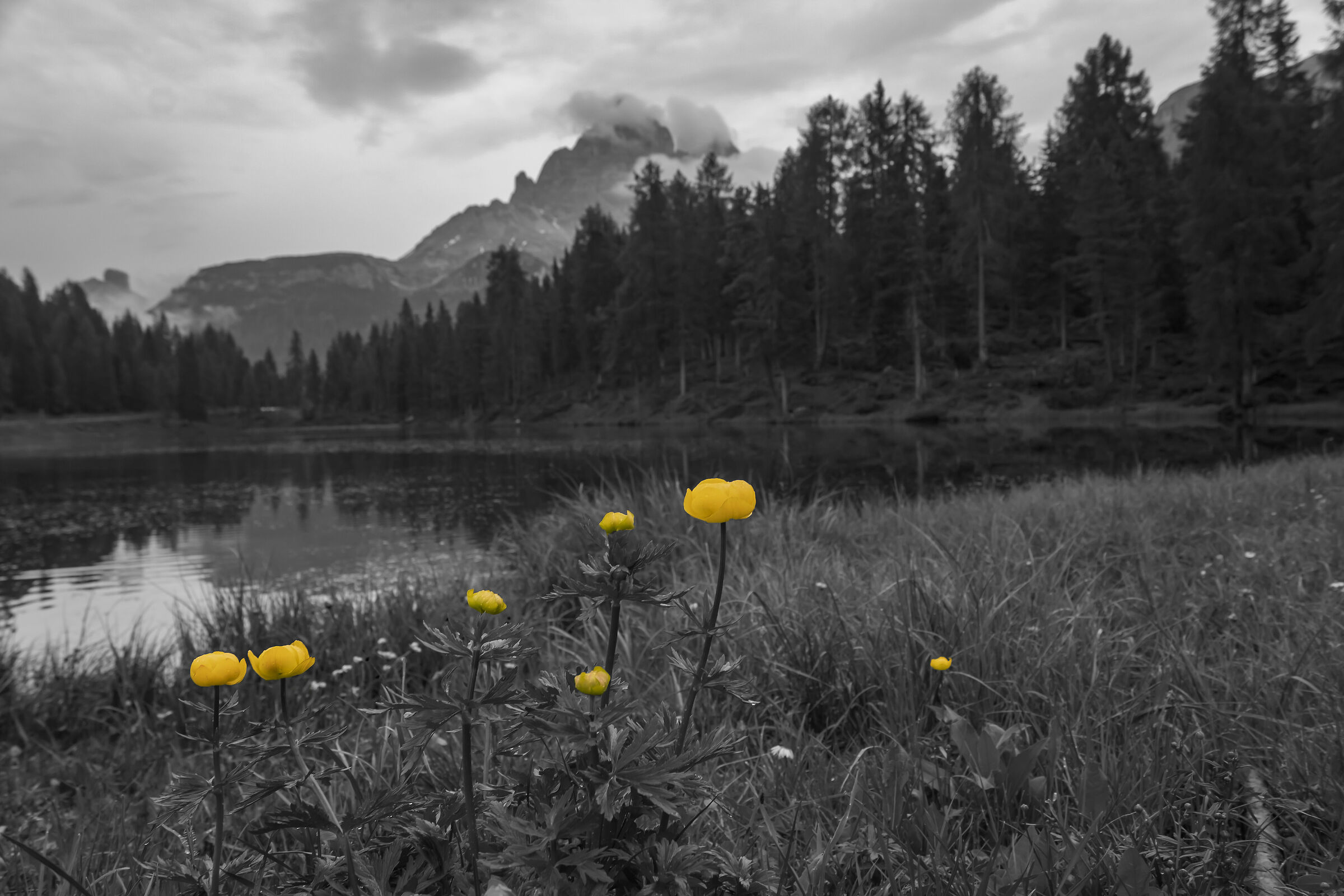 lago di Misurina