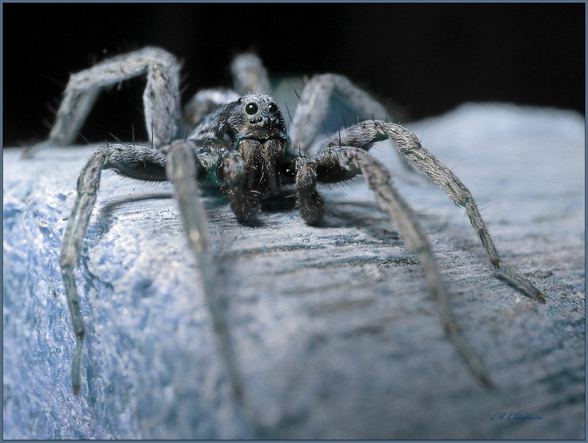 "... effetto Freezer"