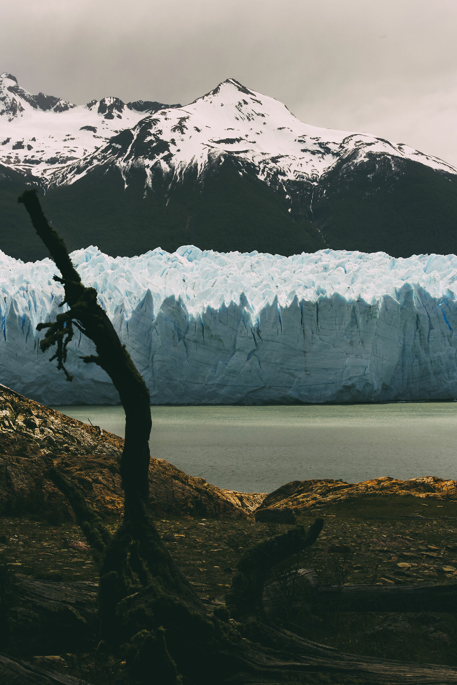 terra, acqua e ghiaccio.