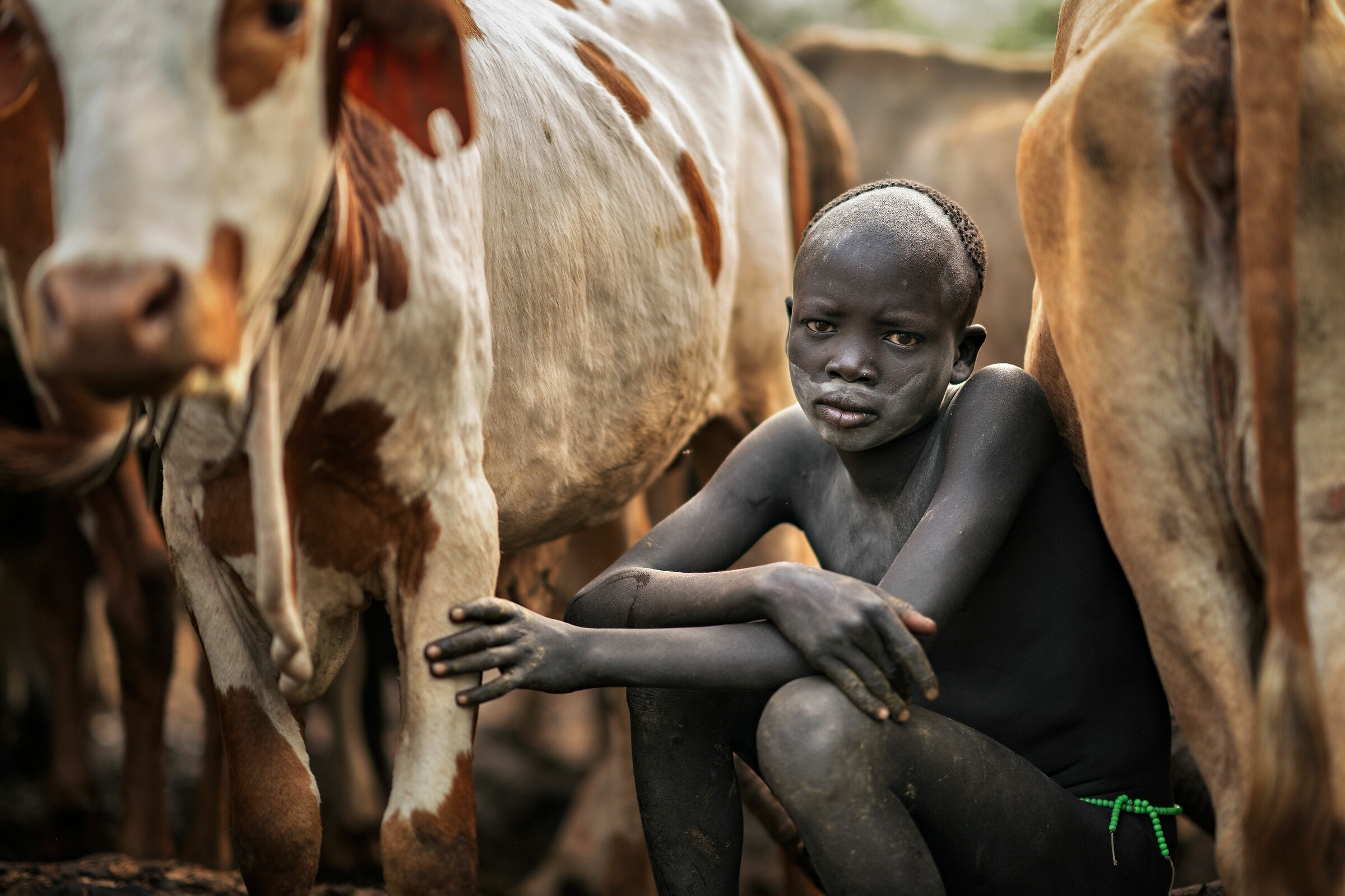 Cuttle camp, Surma tribe