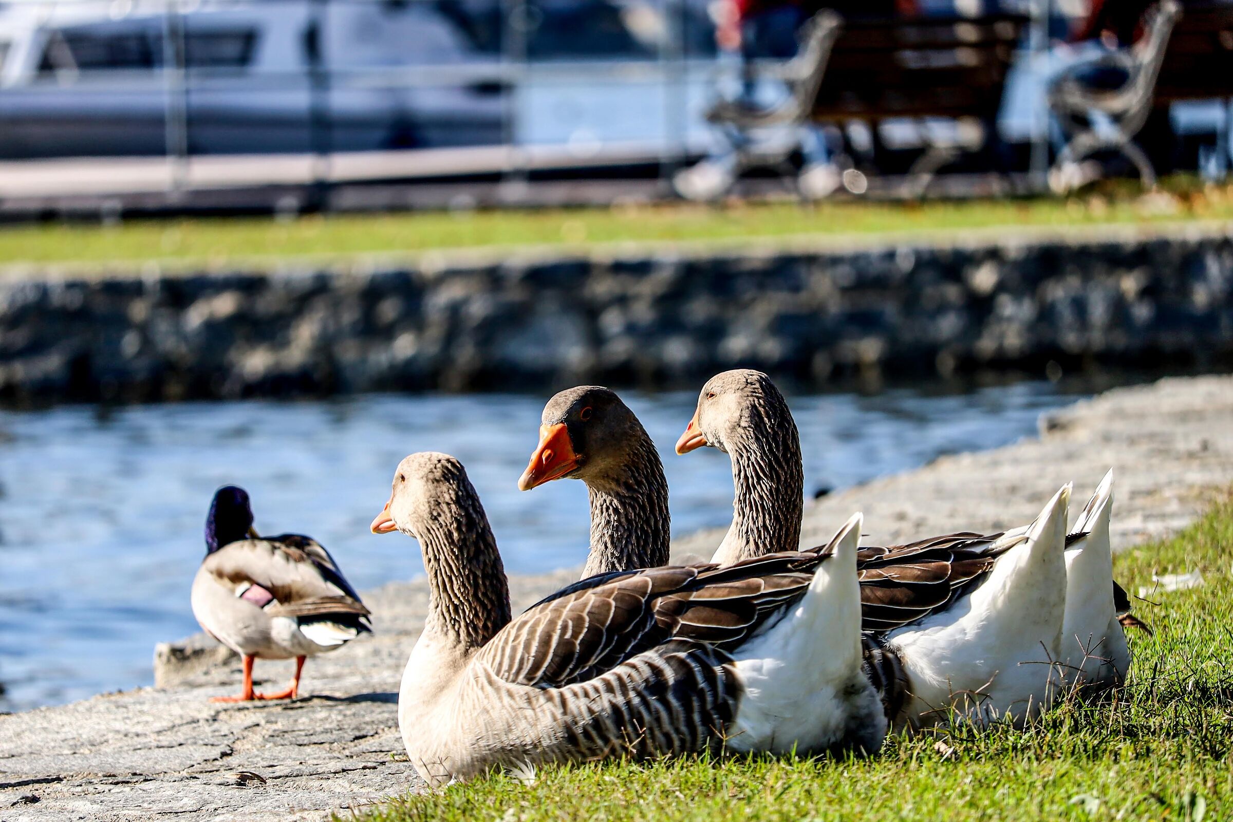 Facciamo due chiacchere...