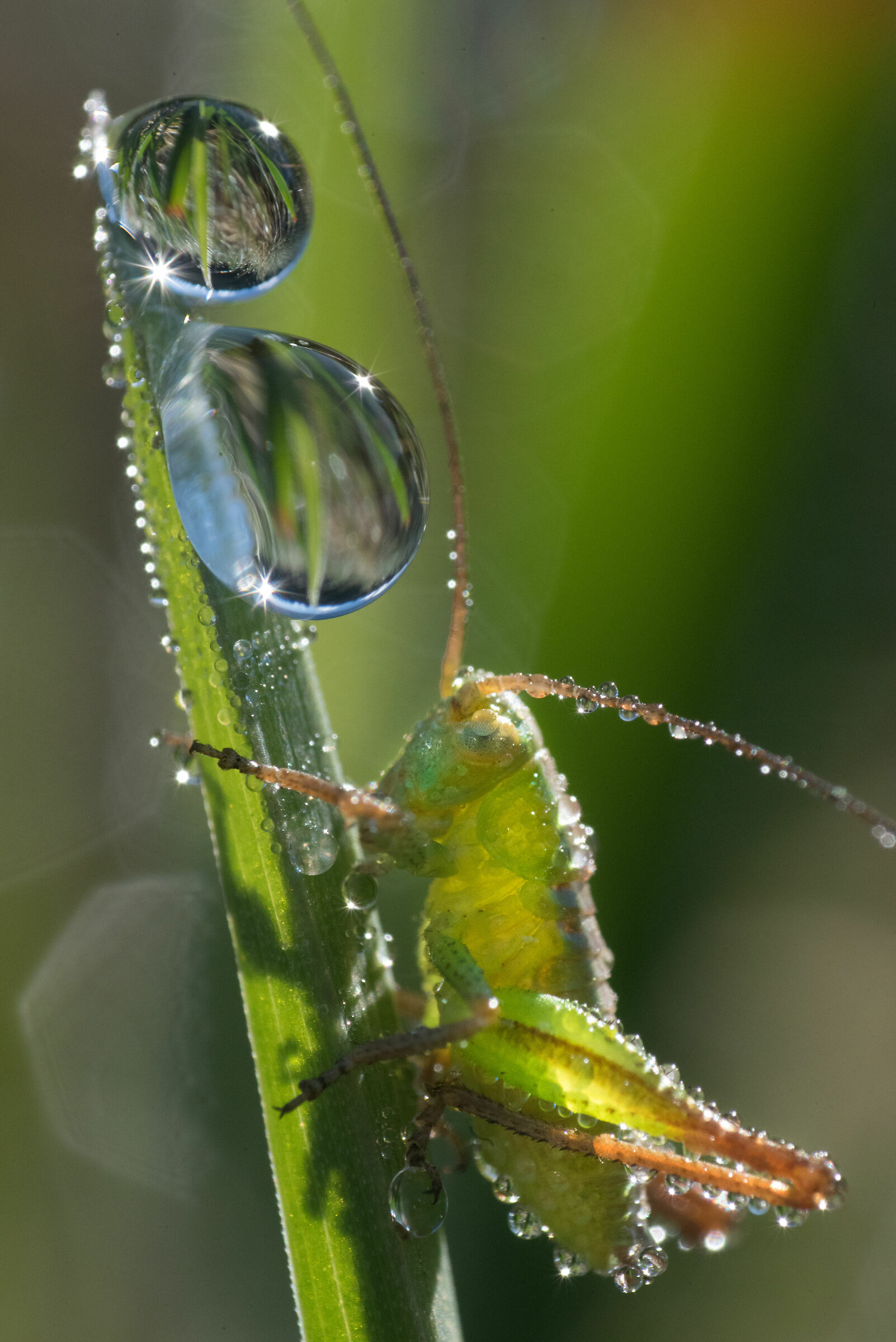 Untitled Photo