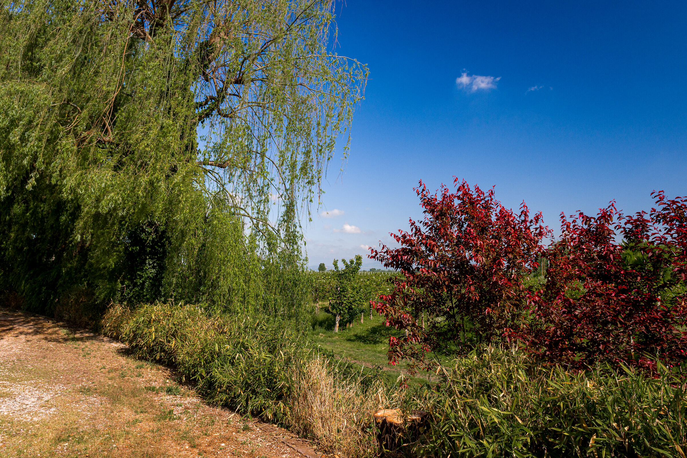 Natura dietro casa 2