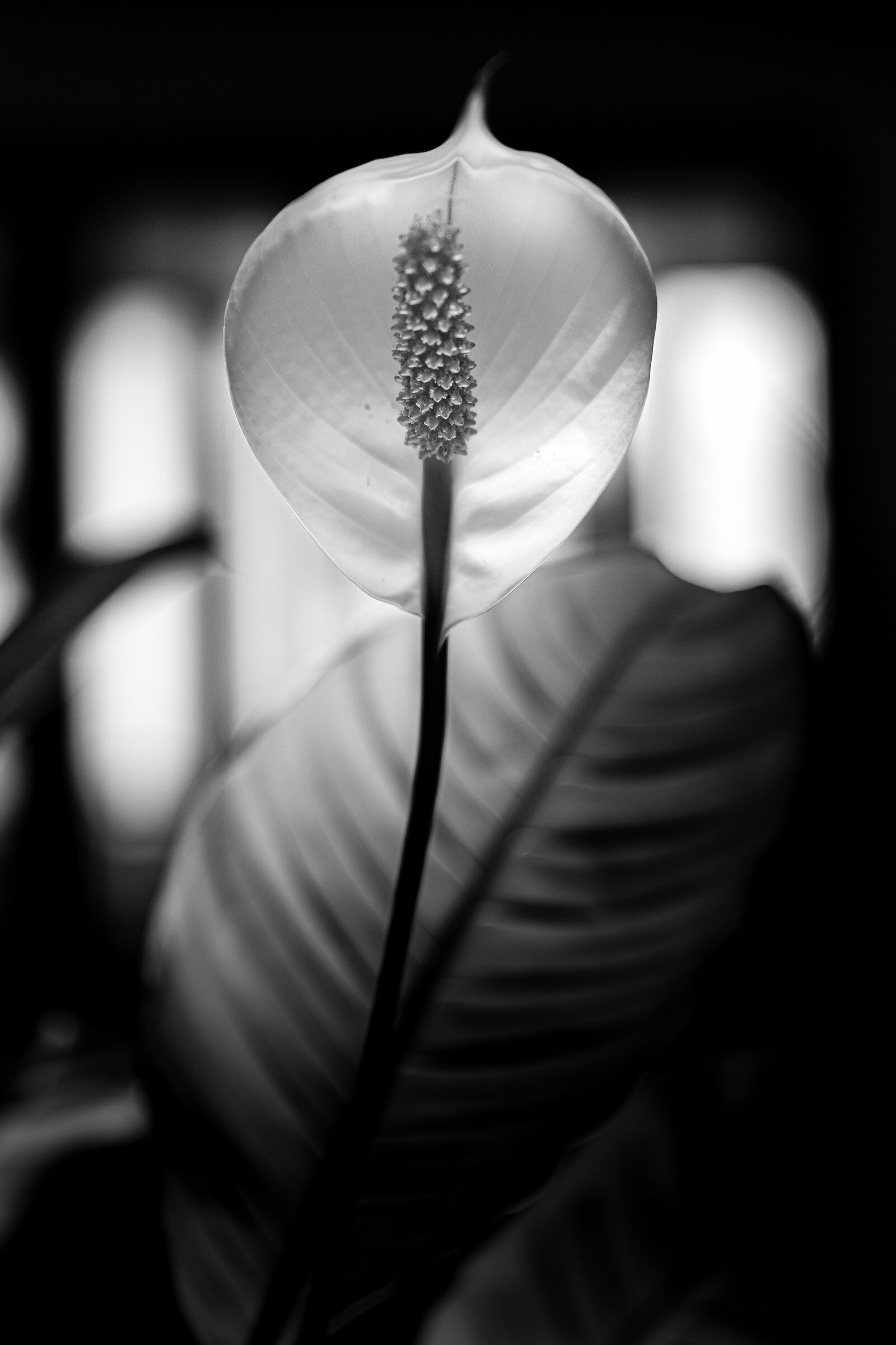 Untitled Photo