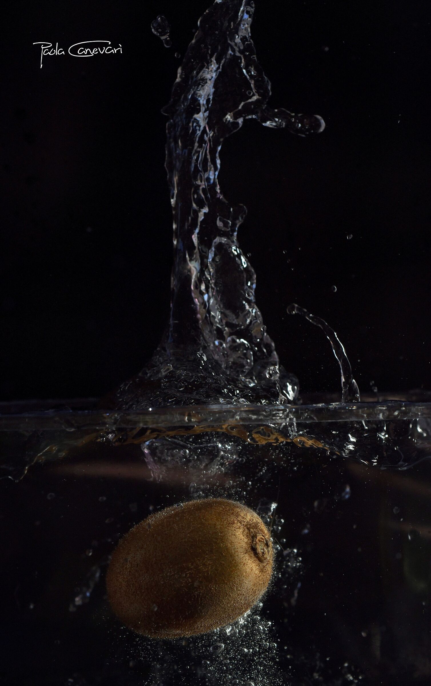 Untitled Photo