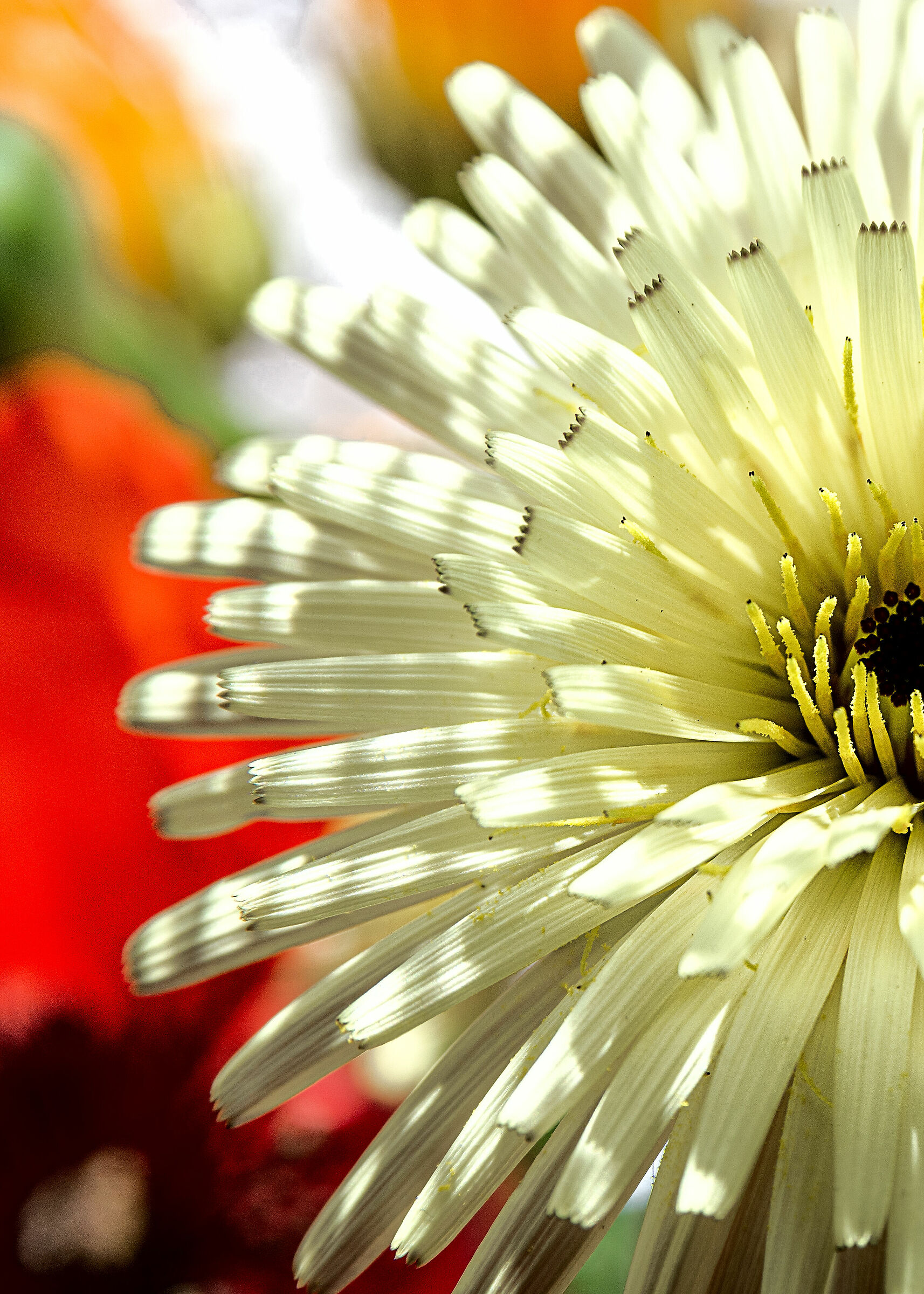 coronavirus time... you do what you can,color2