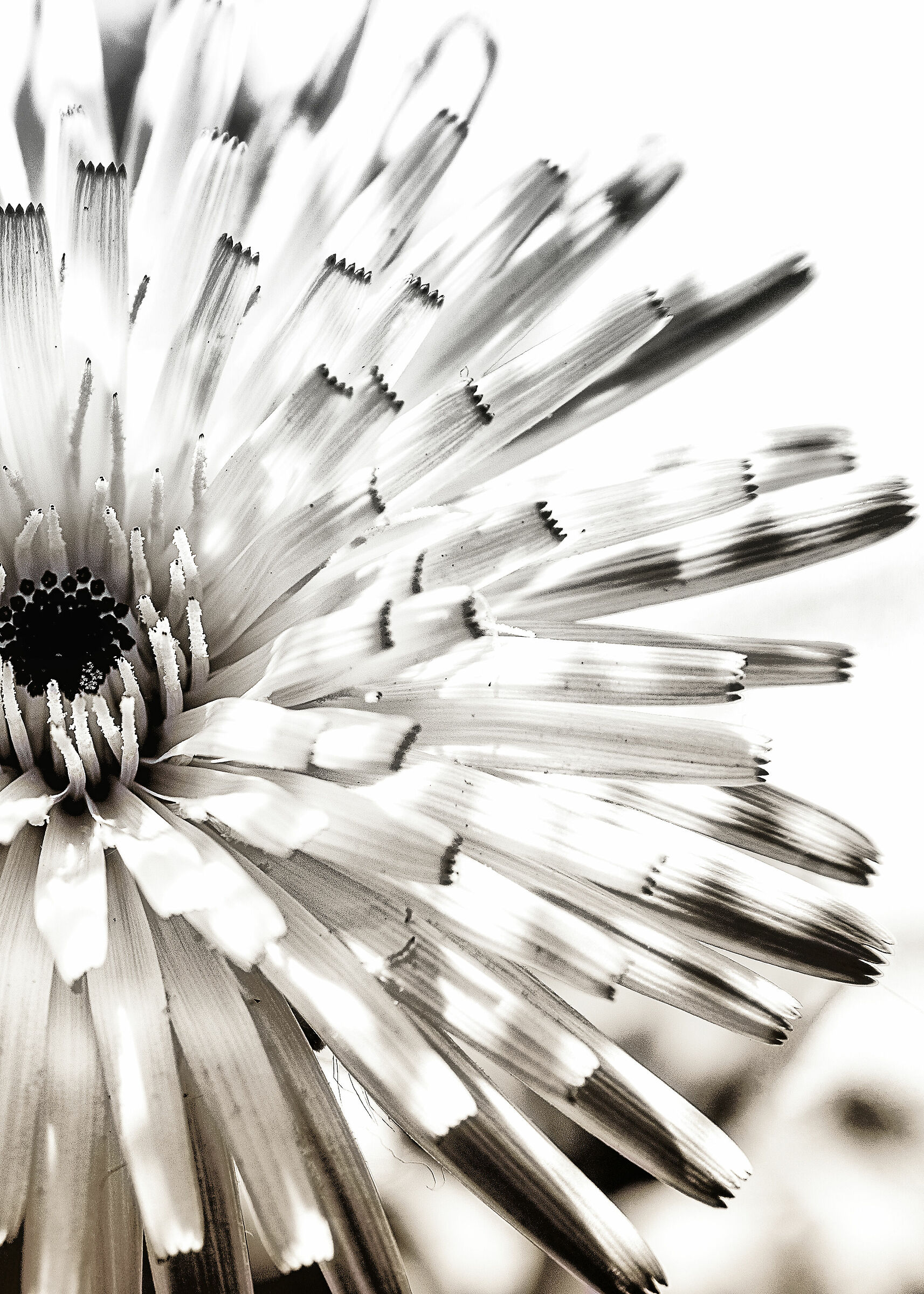 coronavirus time... you do what you can,BW