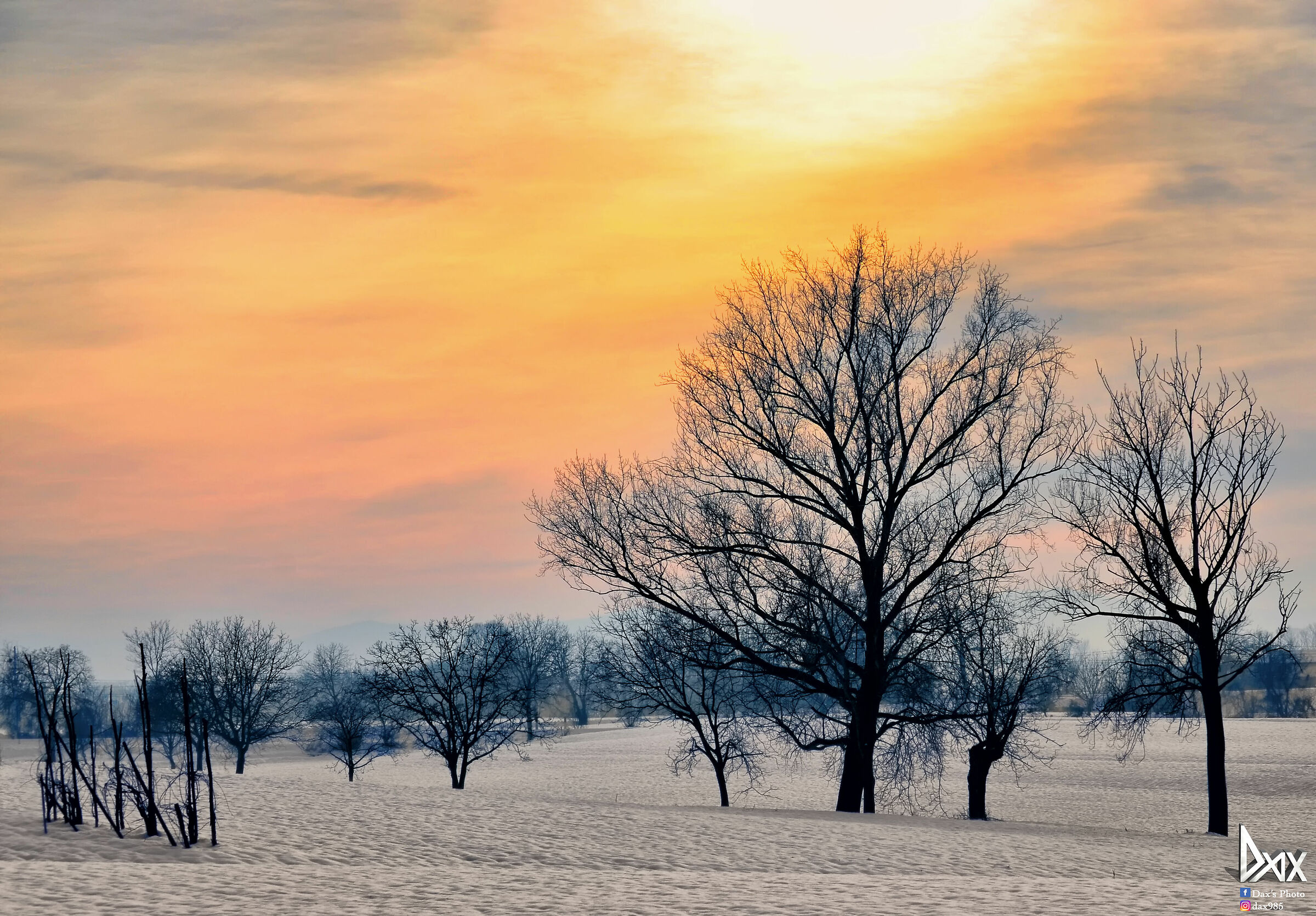 Sunrise in the snowy countryside