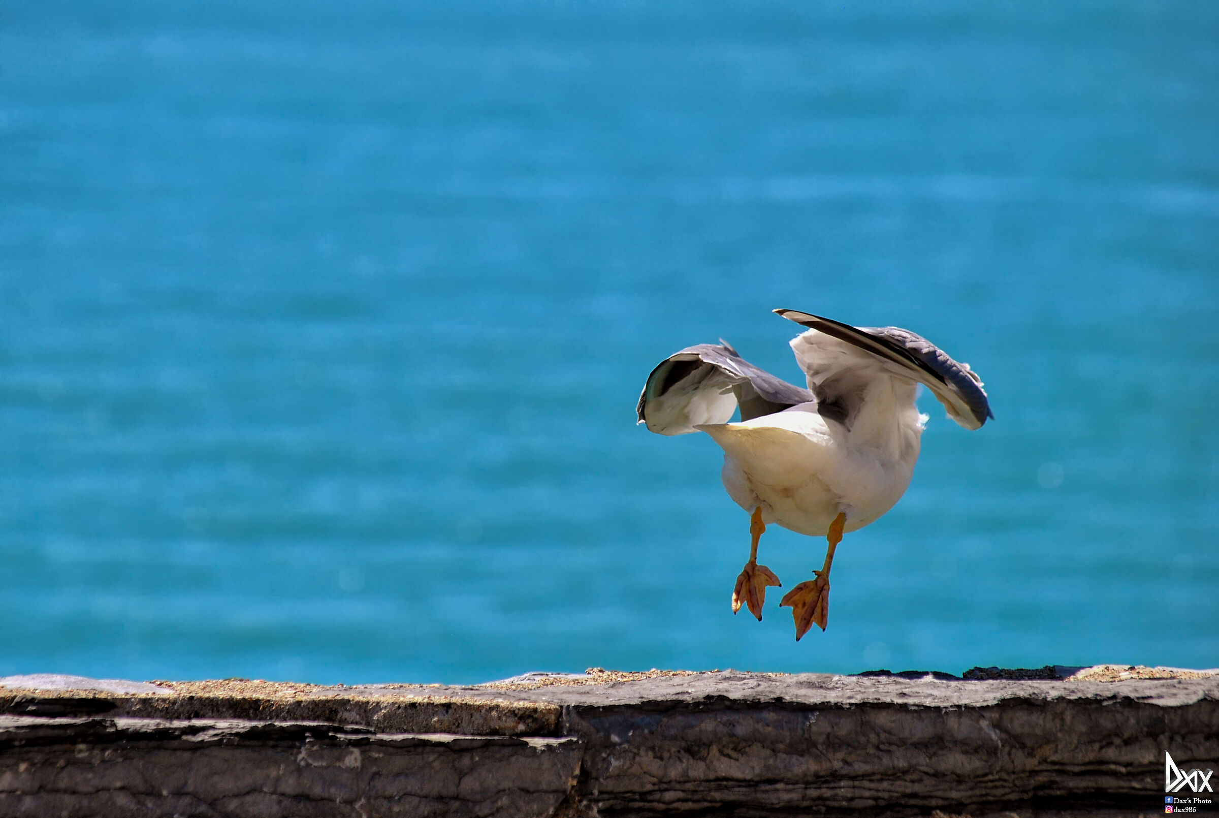 Taking off the flight