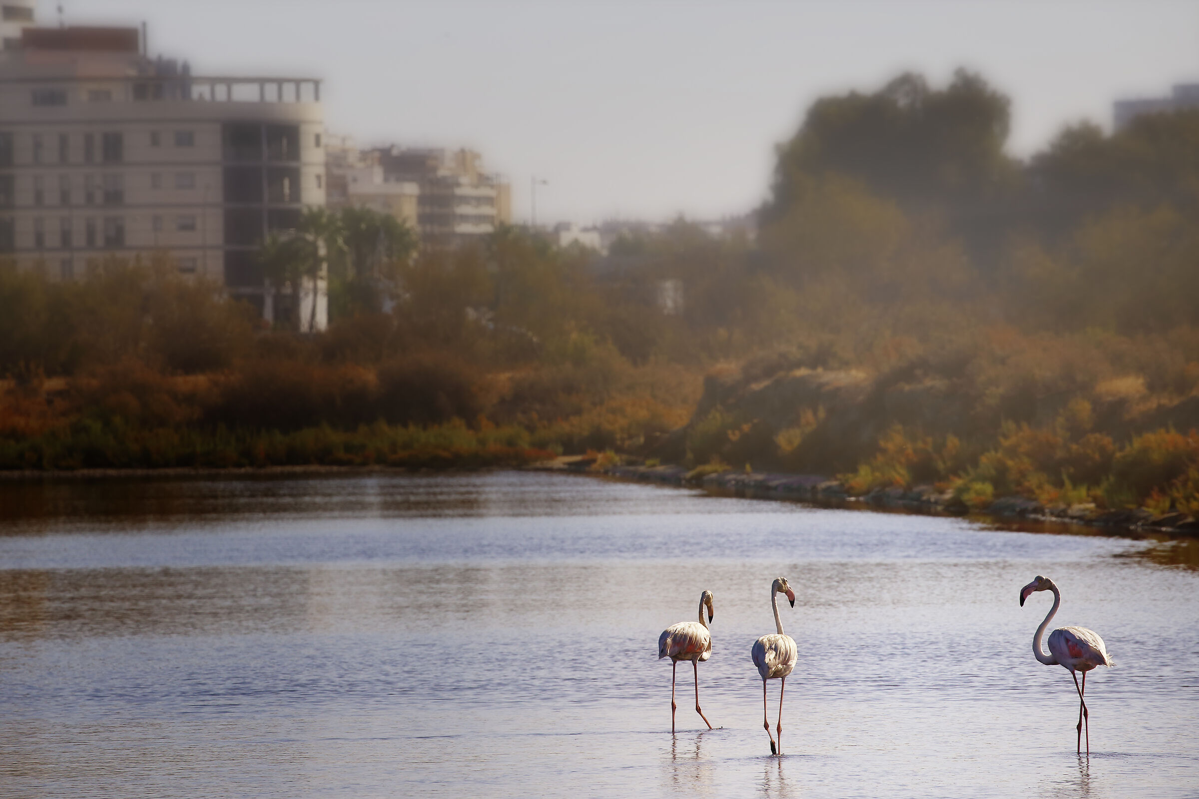 Riaprono i negozi vieni con noi a fare shopping?