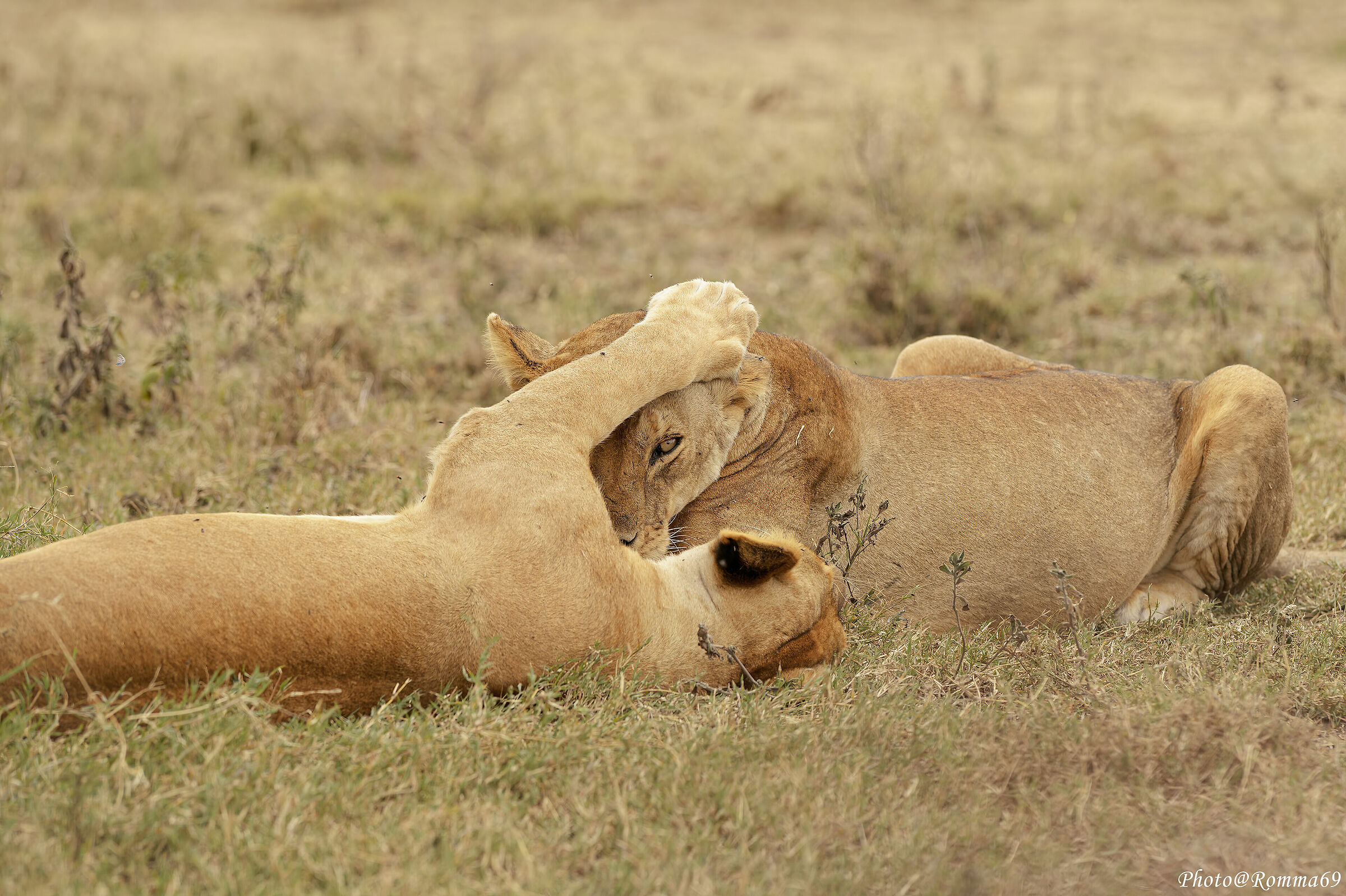 Giochiamo...ma siamo in Africa!