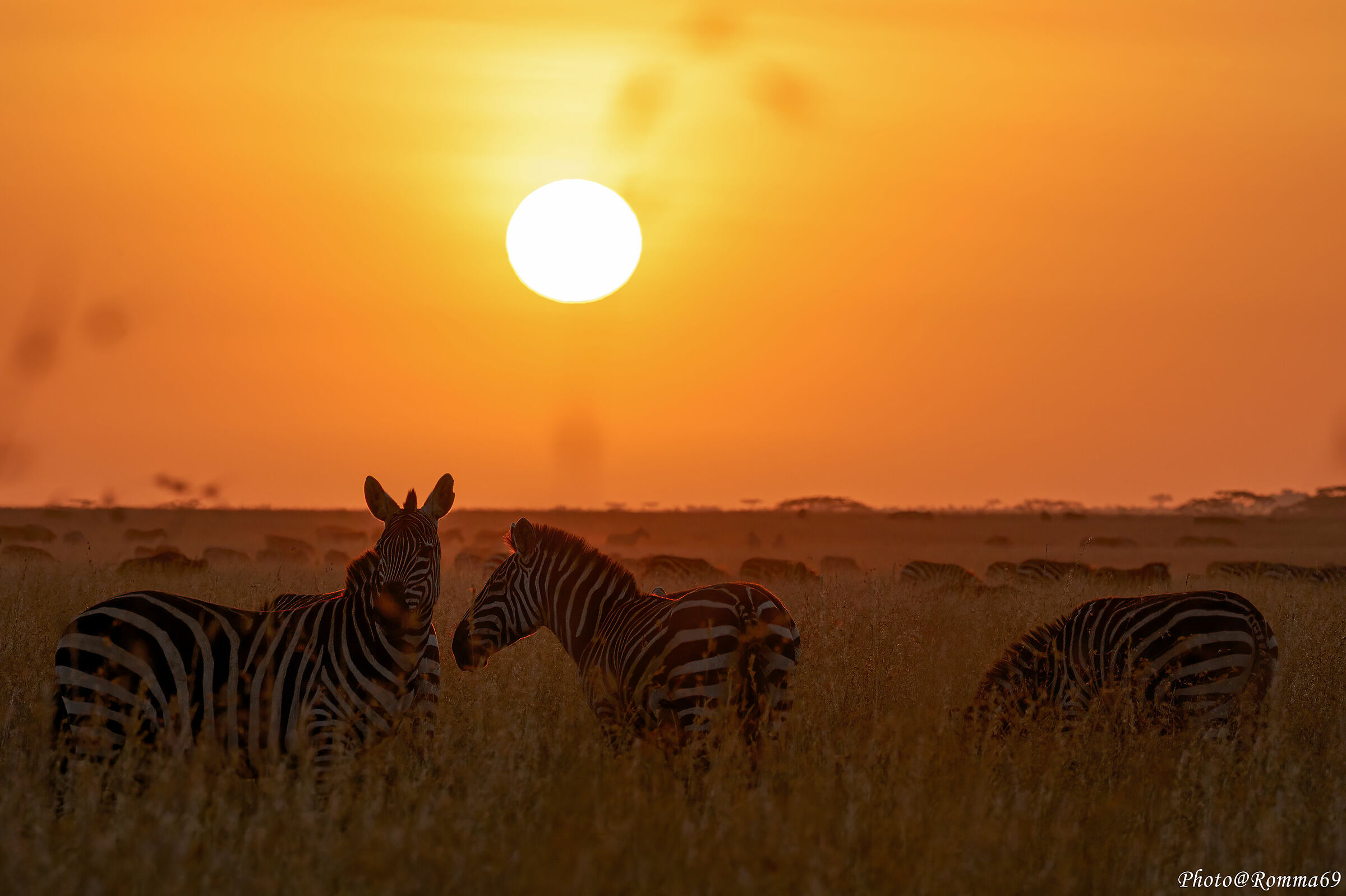 Alba nel Serengeti