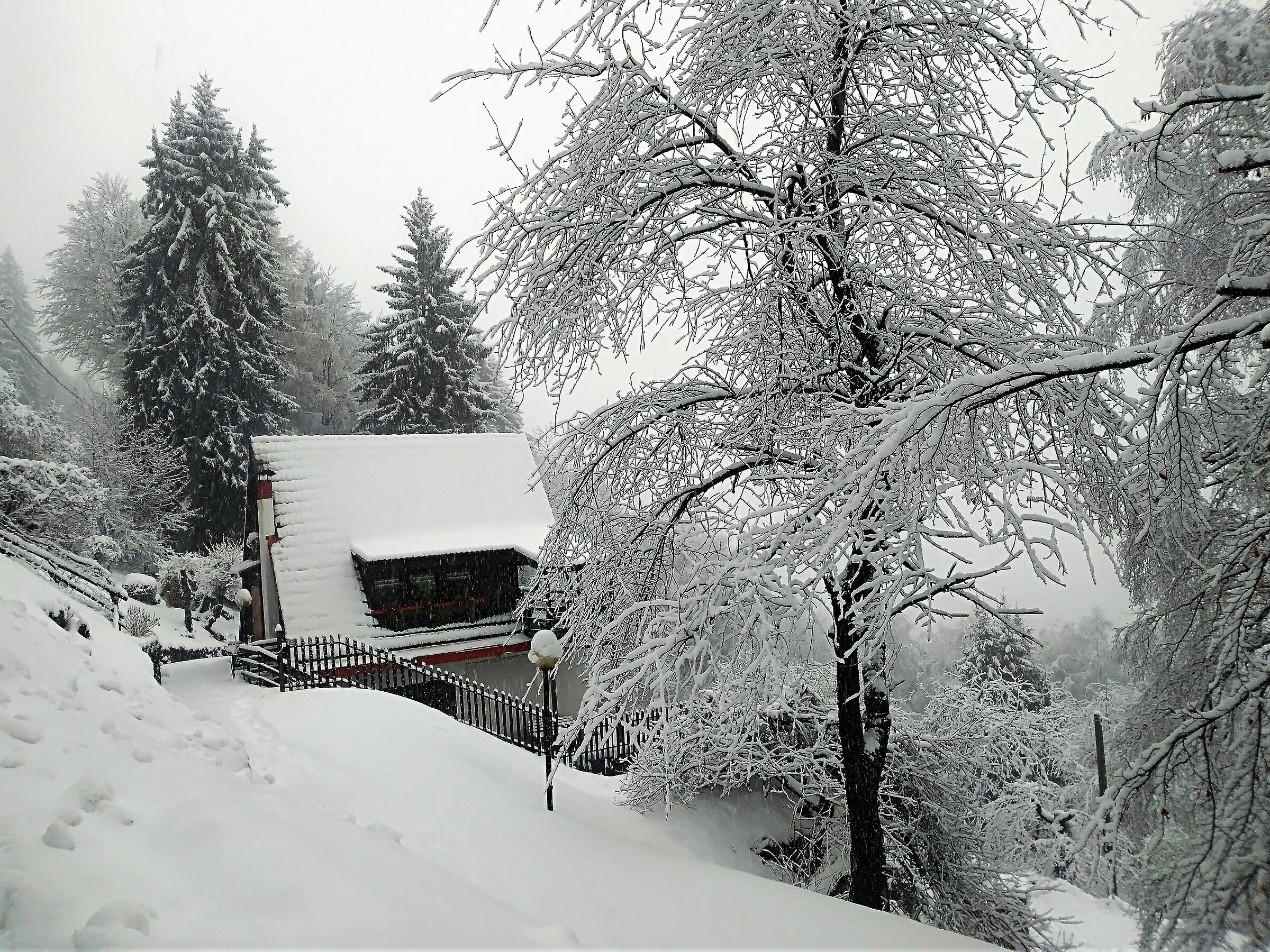 towards M. San Primo