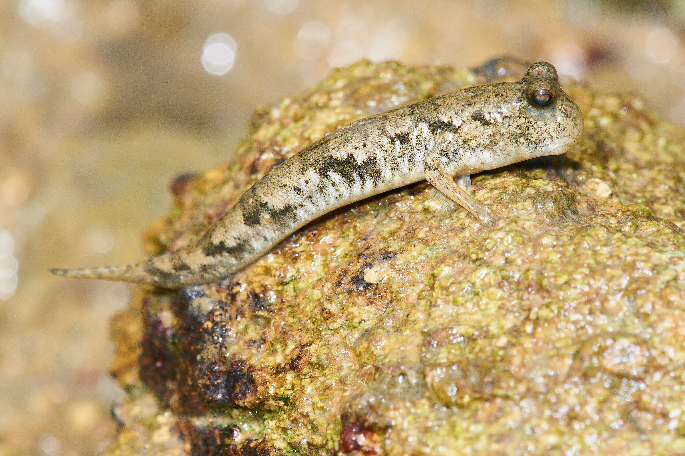 Climbing on the rock