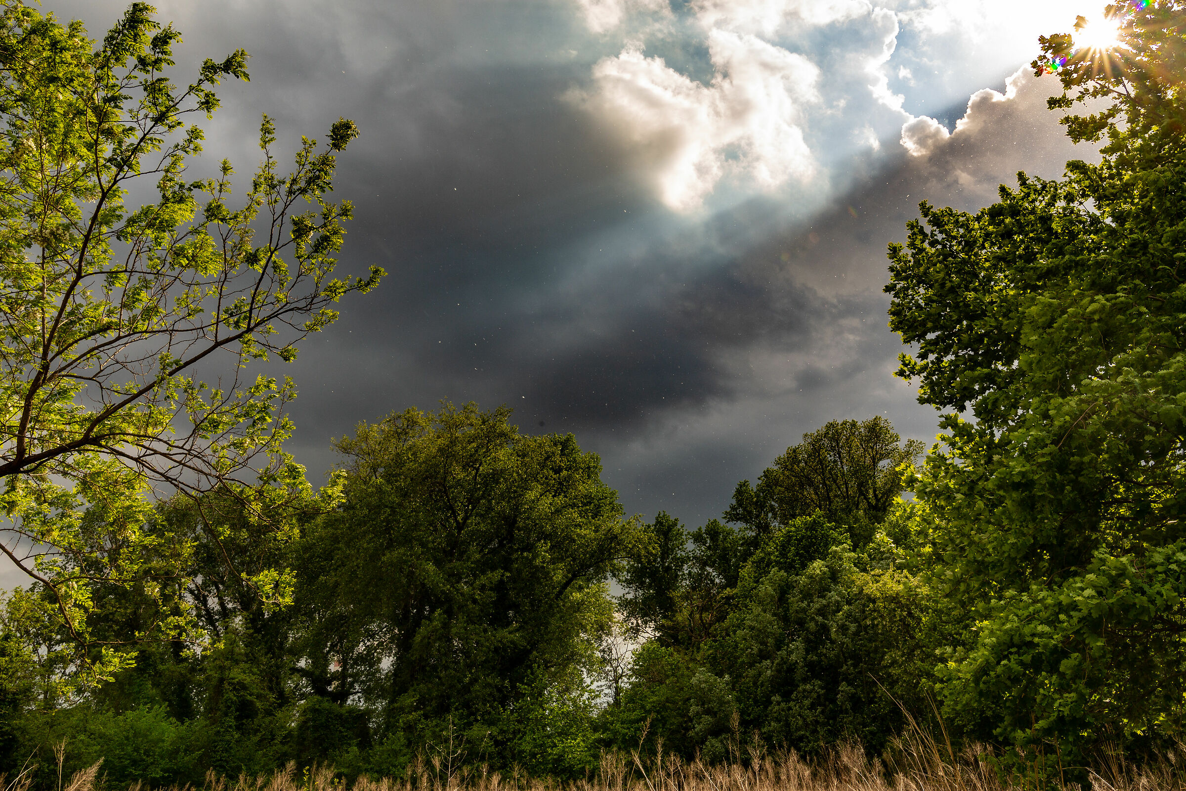 Allerta, campagna Cordenonese.