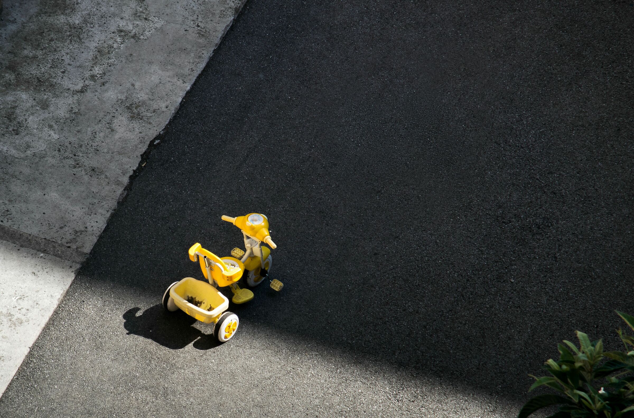 Game interrupted by referee