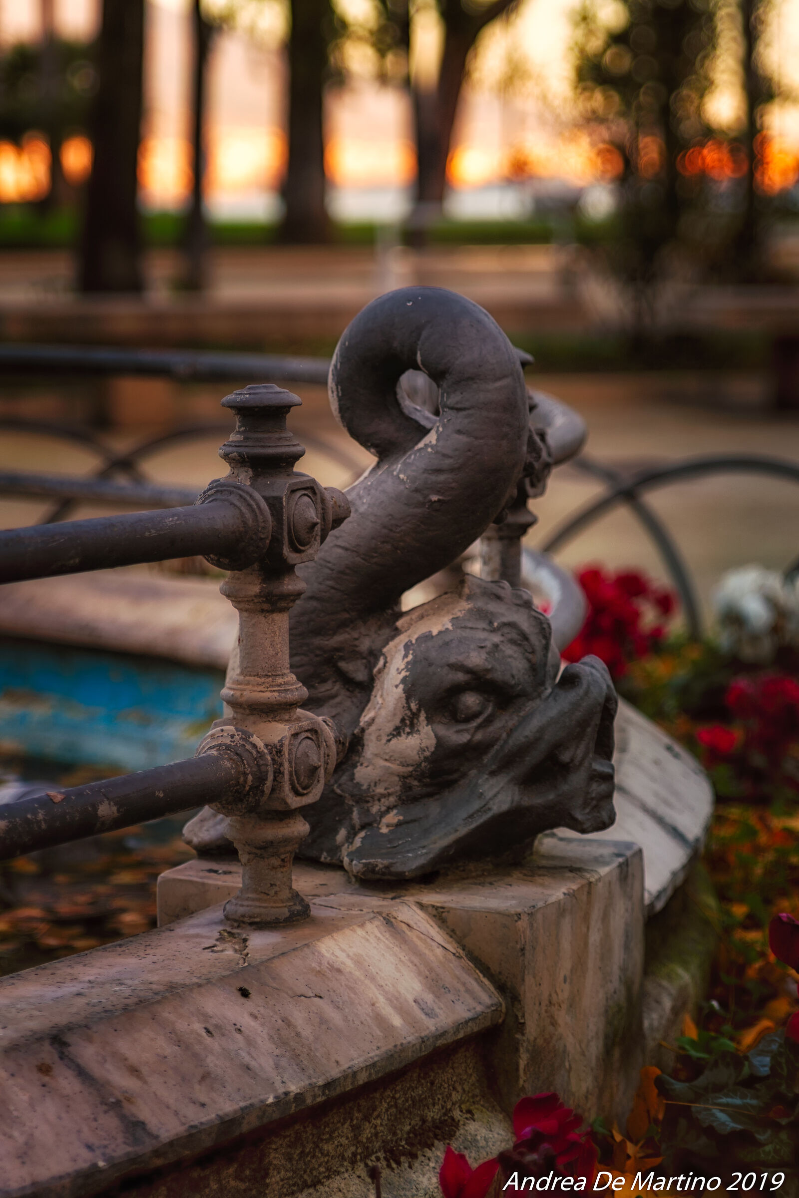 A newt at the fountain