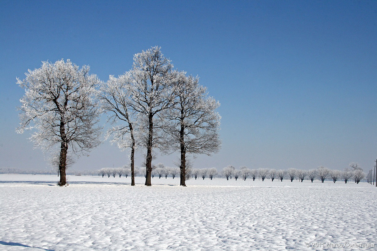 Sole e neve, Voghera (pv)
