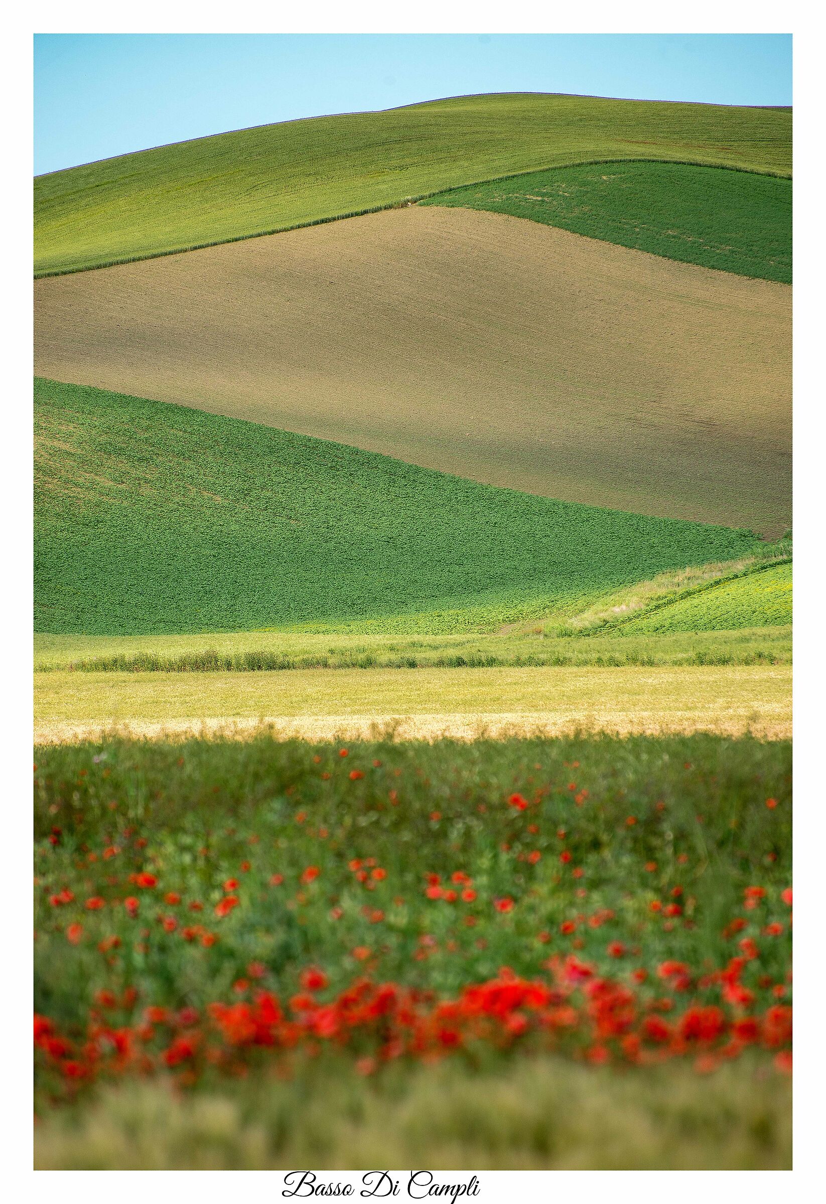Voglia colori
