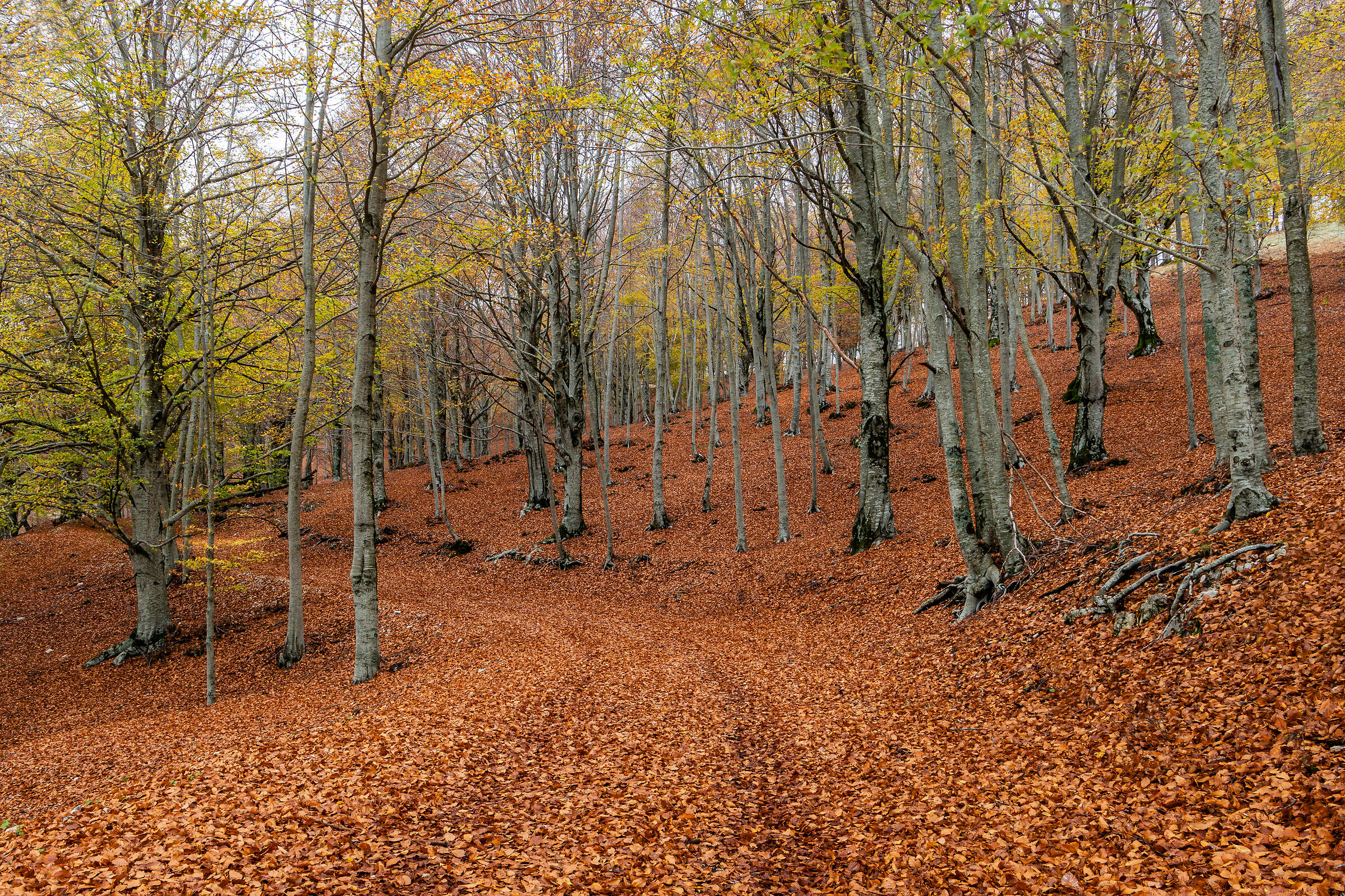 Monte Livata, Subiaco. Ricordi del 2019