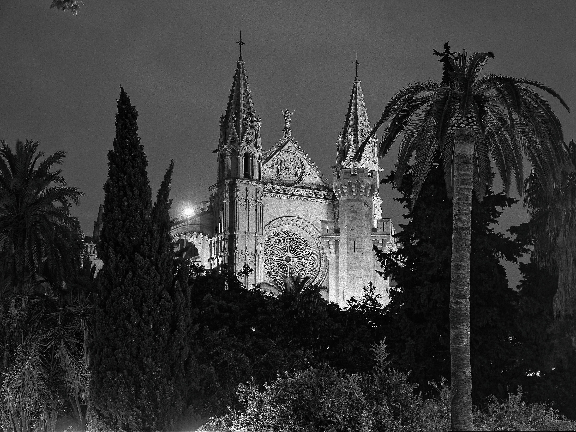 Cattedrale (Palma di Maiorca)