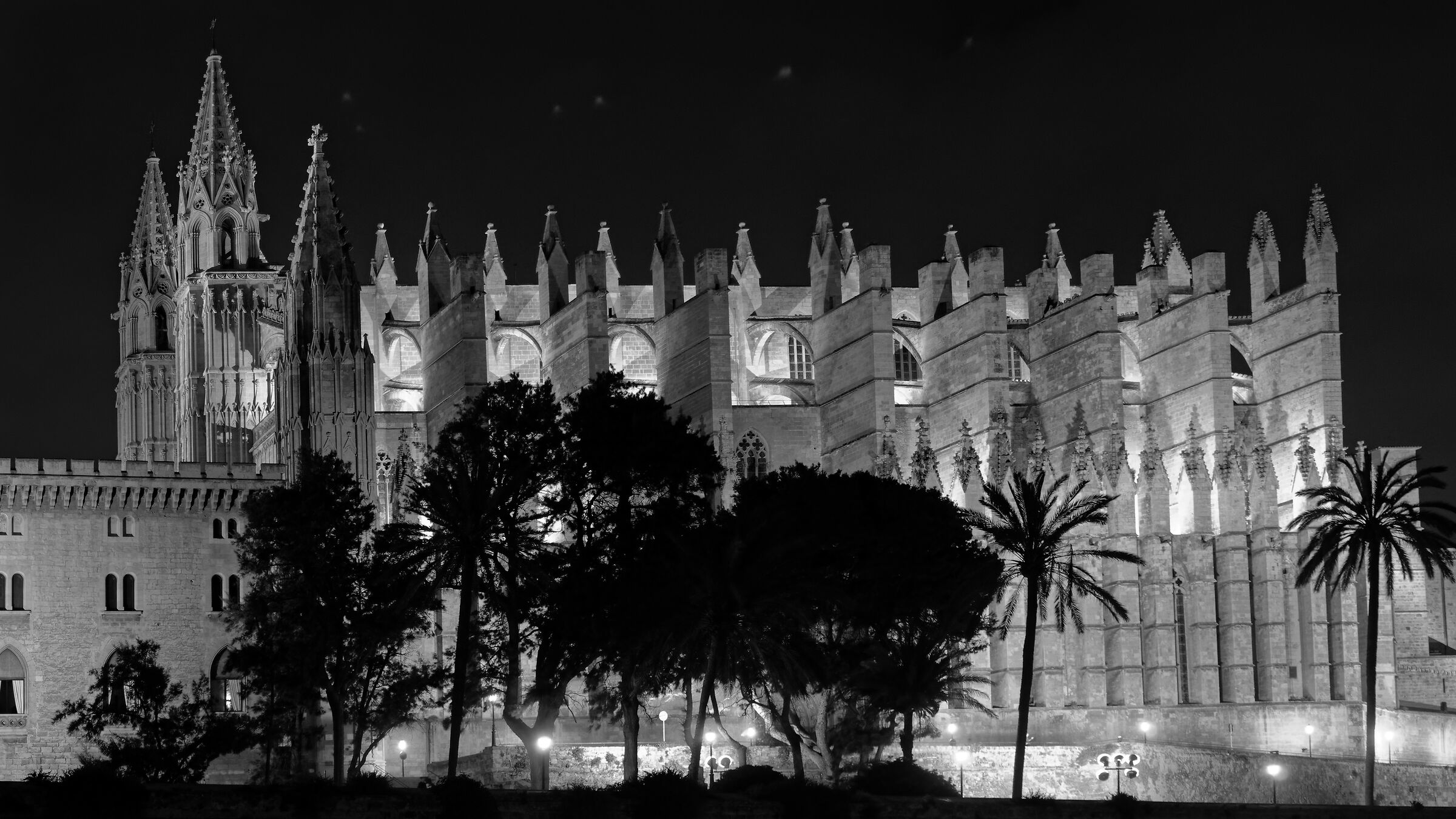 Cathedral (Palma de Mallorca)