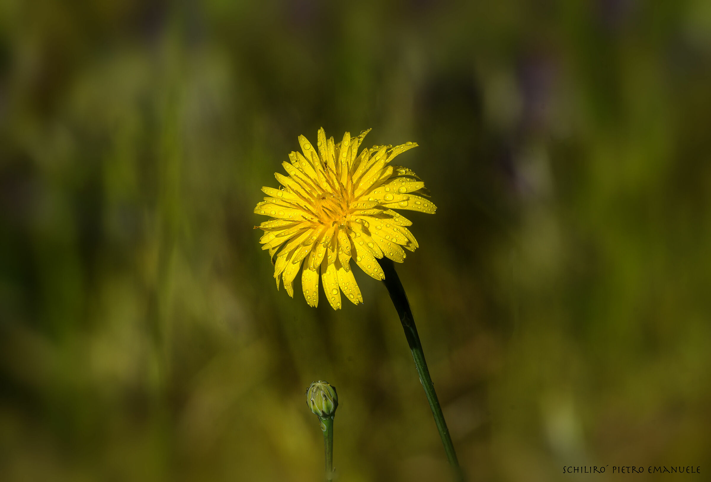 I wanted to be a singer...