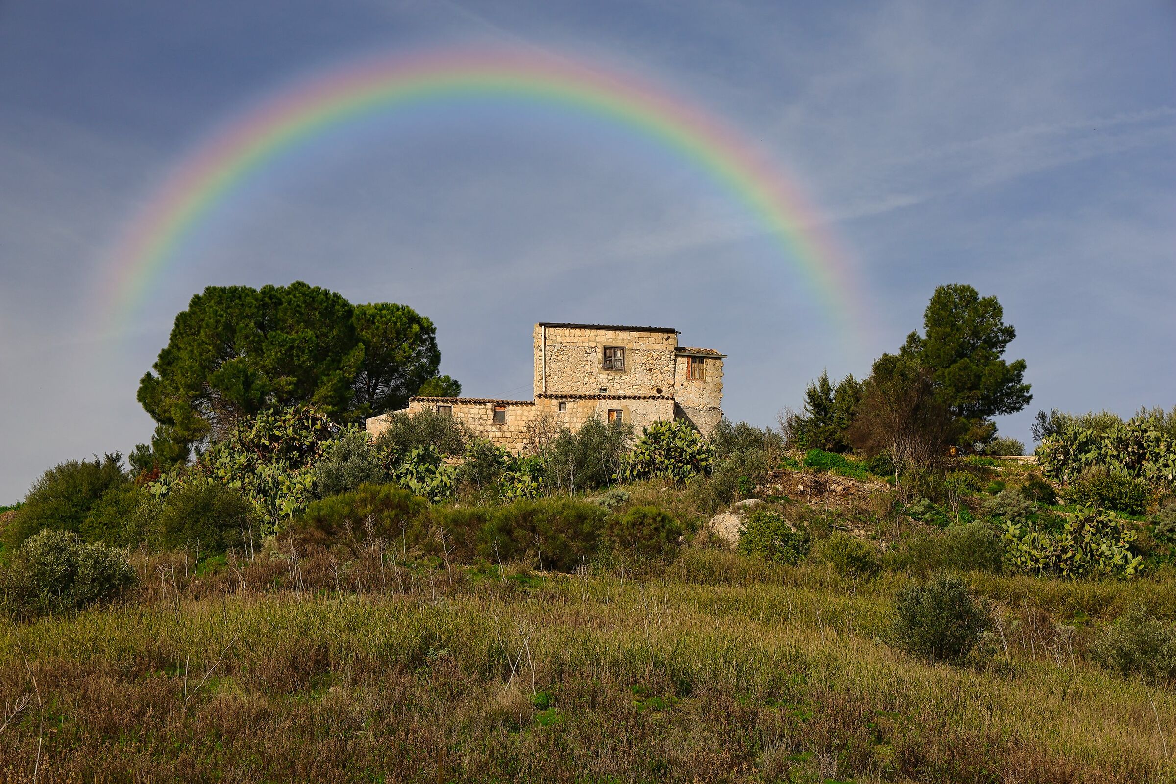 Senza Titolo
