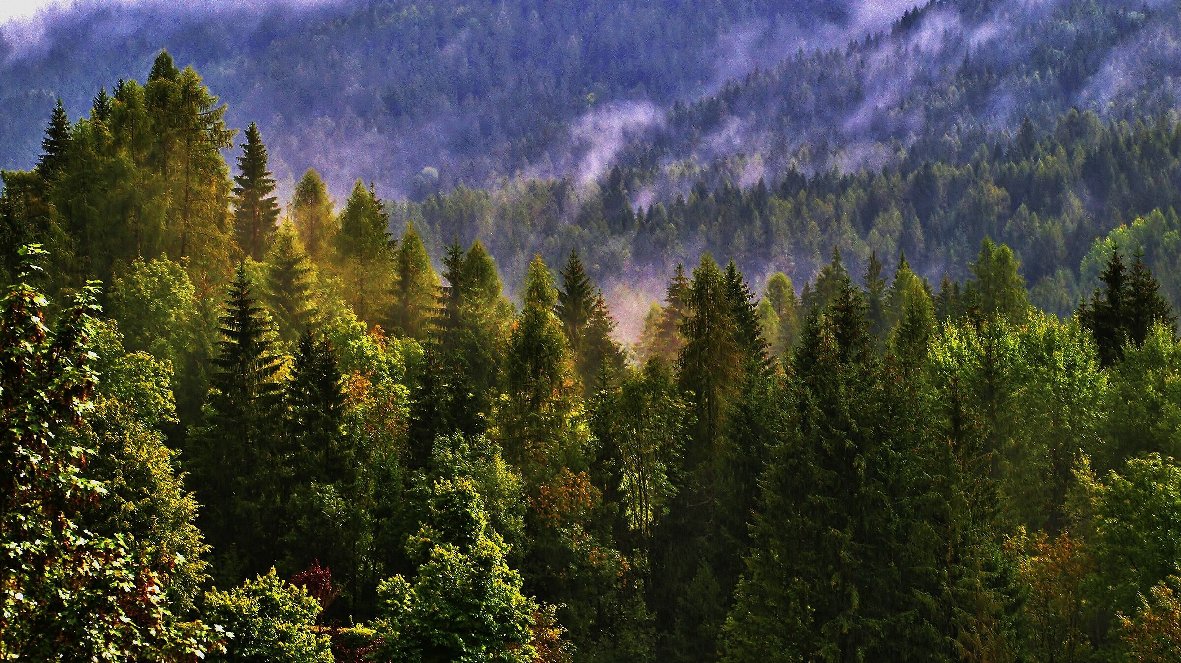 Le nebbie si diradano, arriva il sole !